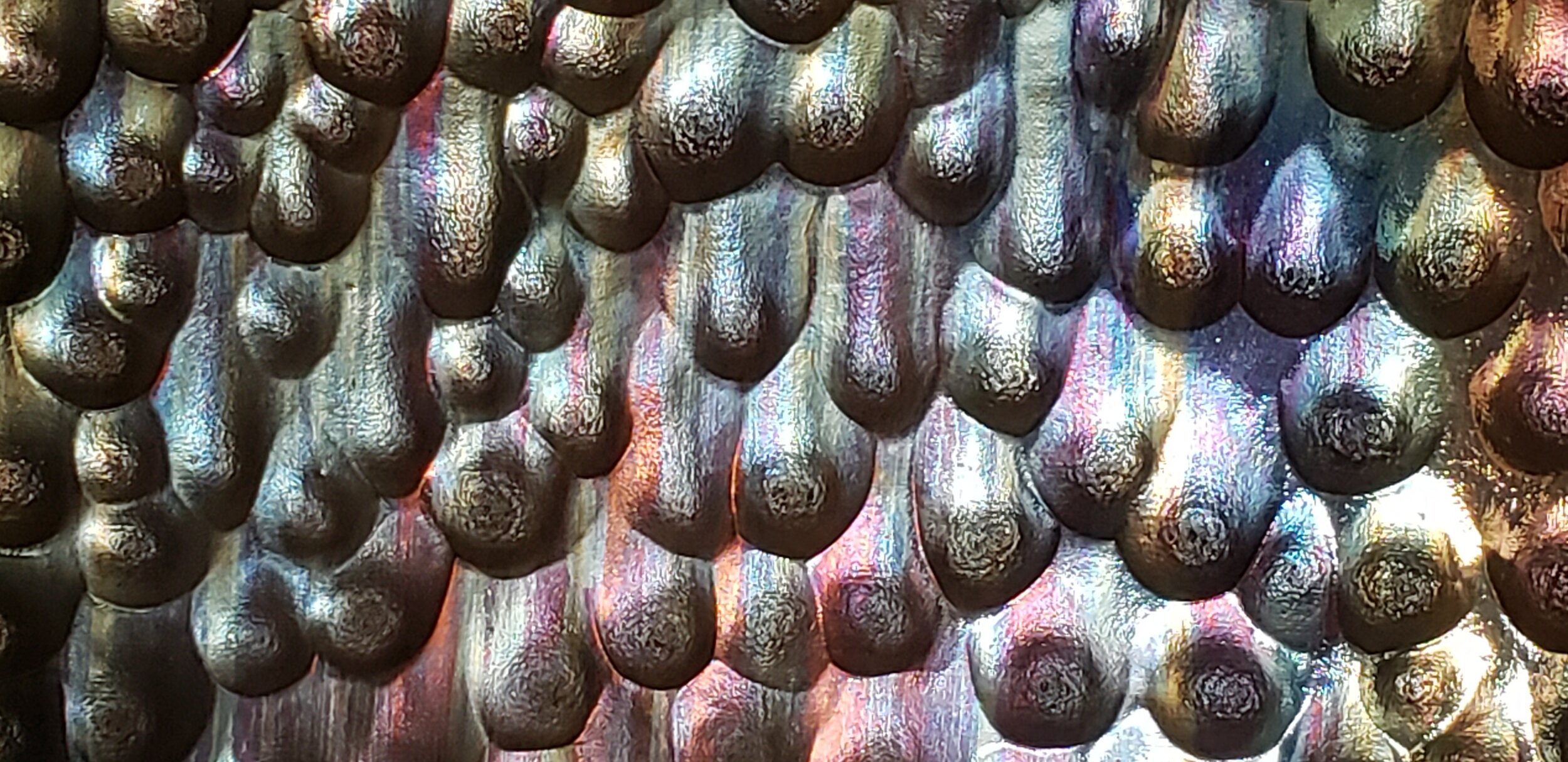 20181008_153451.jpg