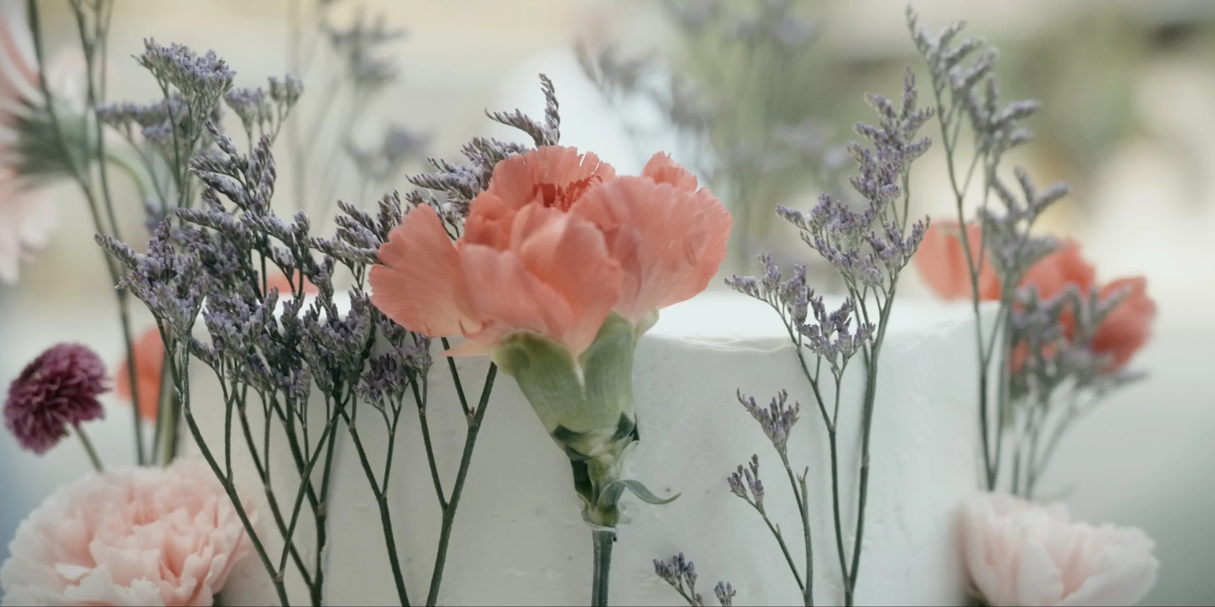 Bildschirmfoto 2024-09-10 um 19.02.20.jpeg