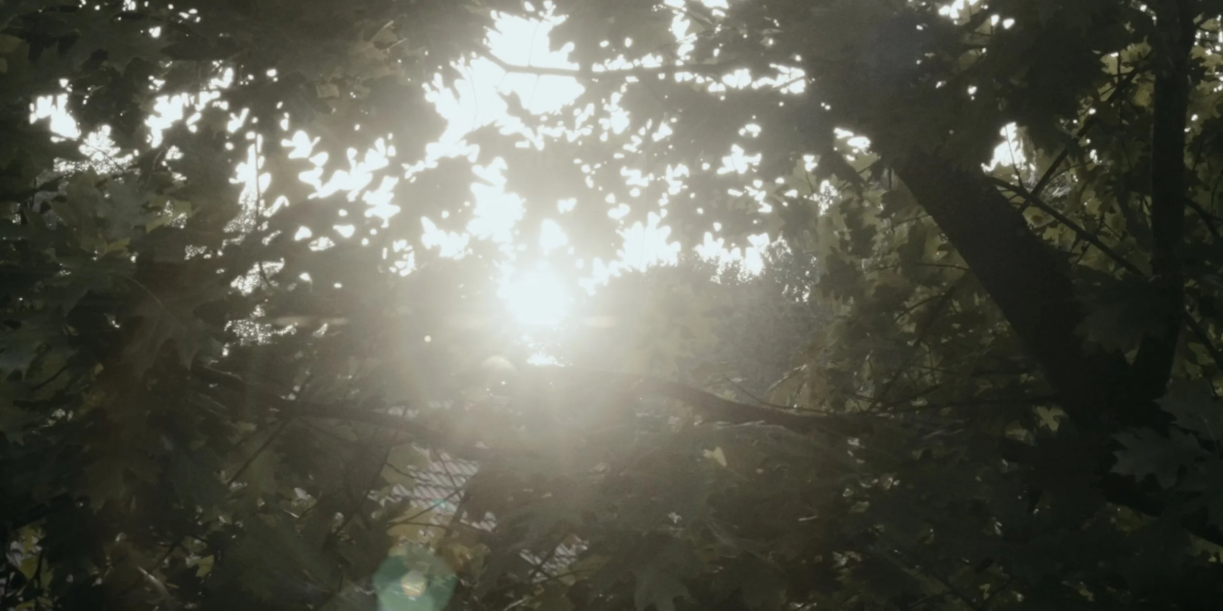 Bildschirmfoto 2024-09-10 um 18.57.01.jpeg