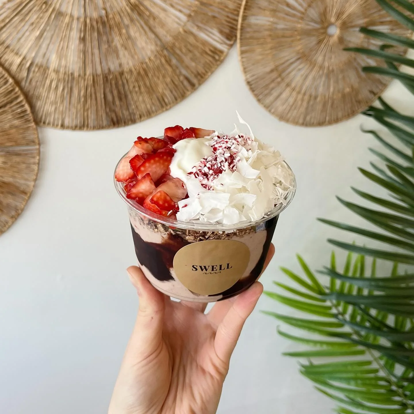 our peppermint bark bowl arrives tomorrow, bringing all the holiday feels 🎅🏻🎄🍓

&bull; coconut base blended with vegan chocolate protein, cocoa powder &amp; peppermint topped with gluten-free chocolate granola, greek yogurt, coconut flakes, straw