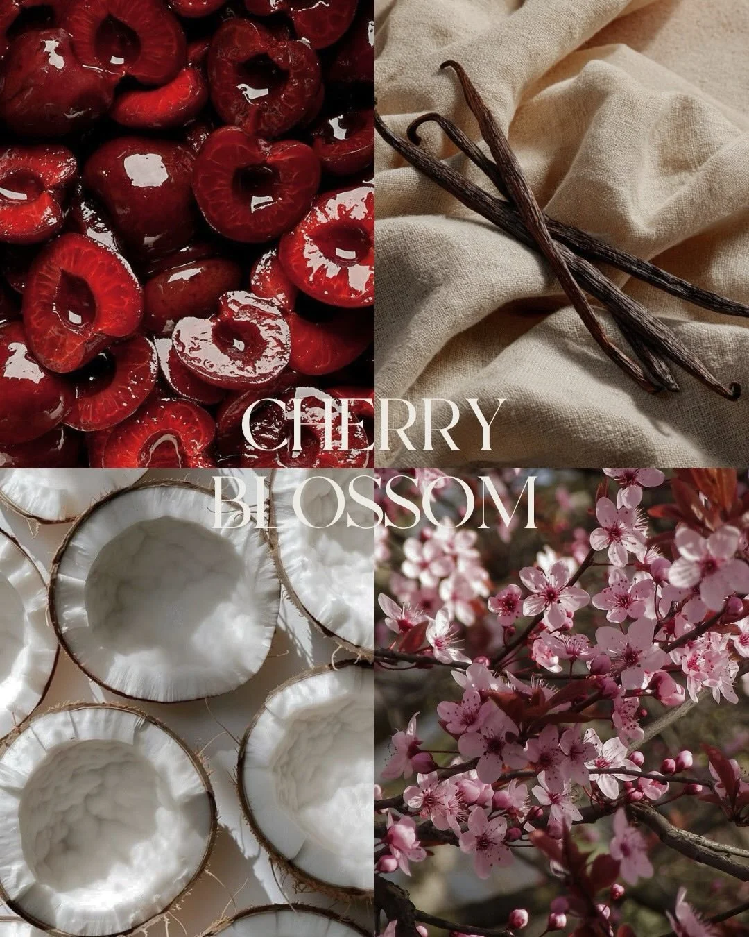 new season, new smoothie lineup!! ☀️☀️☀️ inspired by florals, our spring smoothies drop tomorrow and we can&rsquo;t wait for you to try them 🌷🍒🌹

cherry blossom | citrus bloom | rose bud