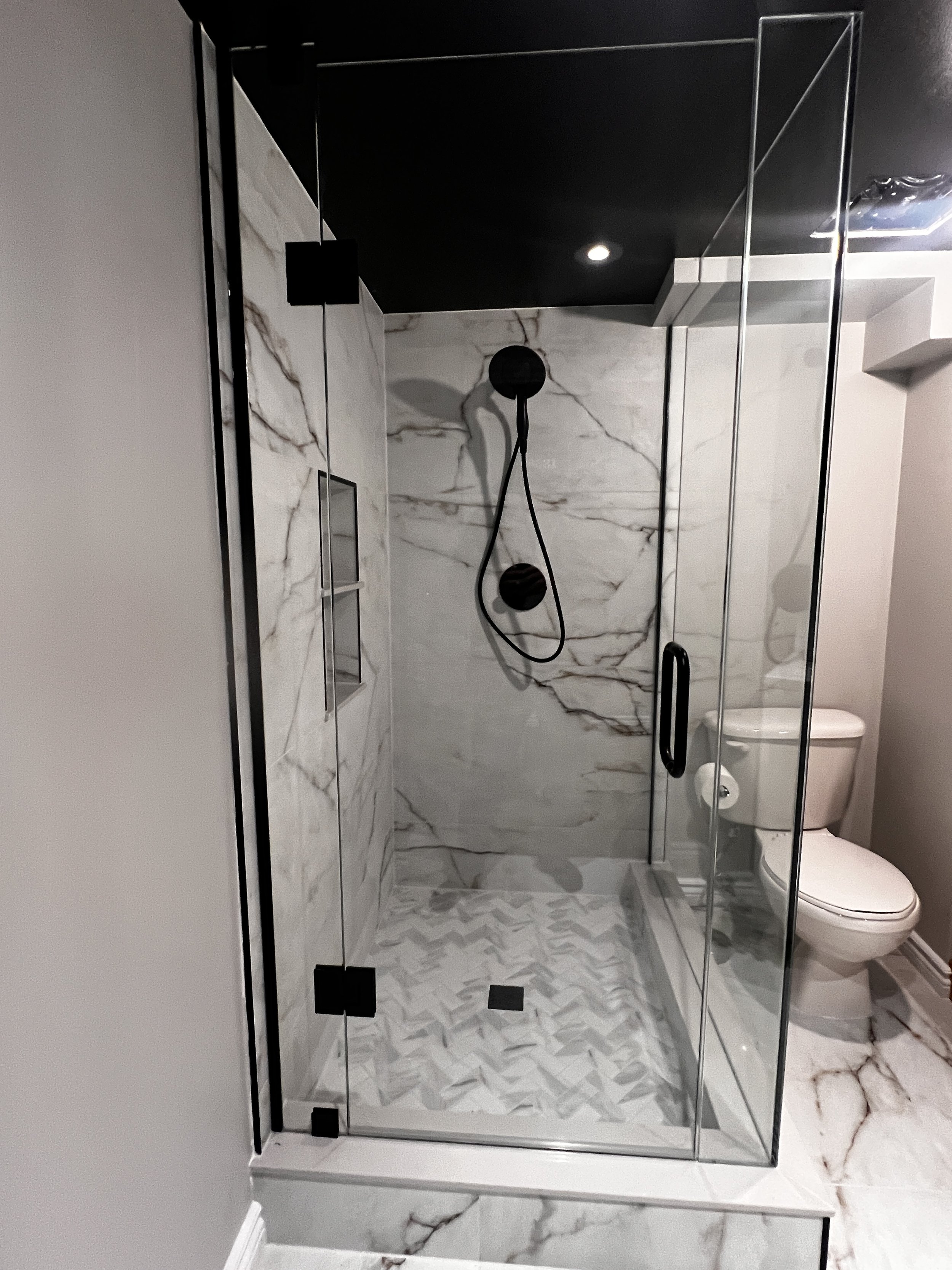 Modern bathroom with a glass shower enclosure, marble walls, and a toilet.