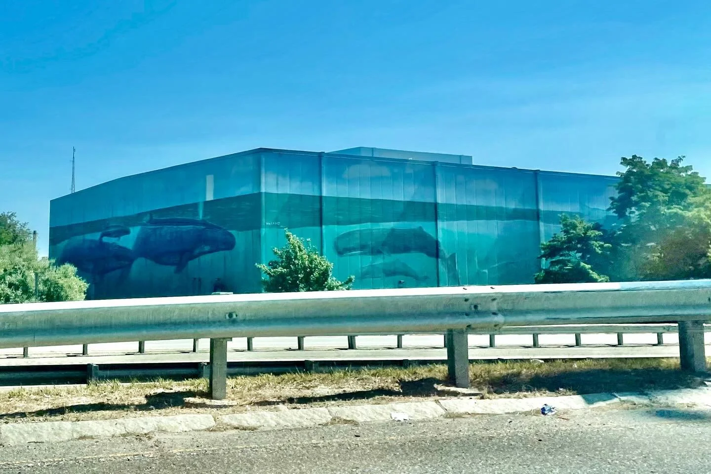 All the conversations about the fate of the whale mural in Austin, got me to thinking about this mural I saw on my way to New Bedford.  As it turns out it is by the same artist, Wyland, who uses his art to educate people about the health of our ecosy