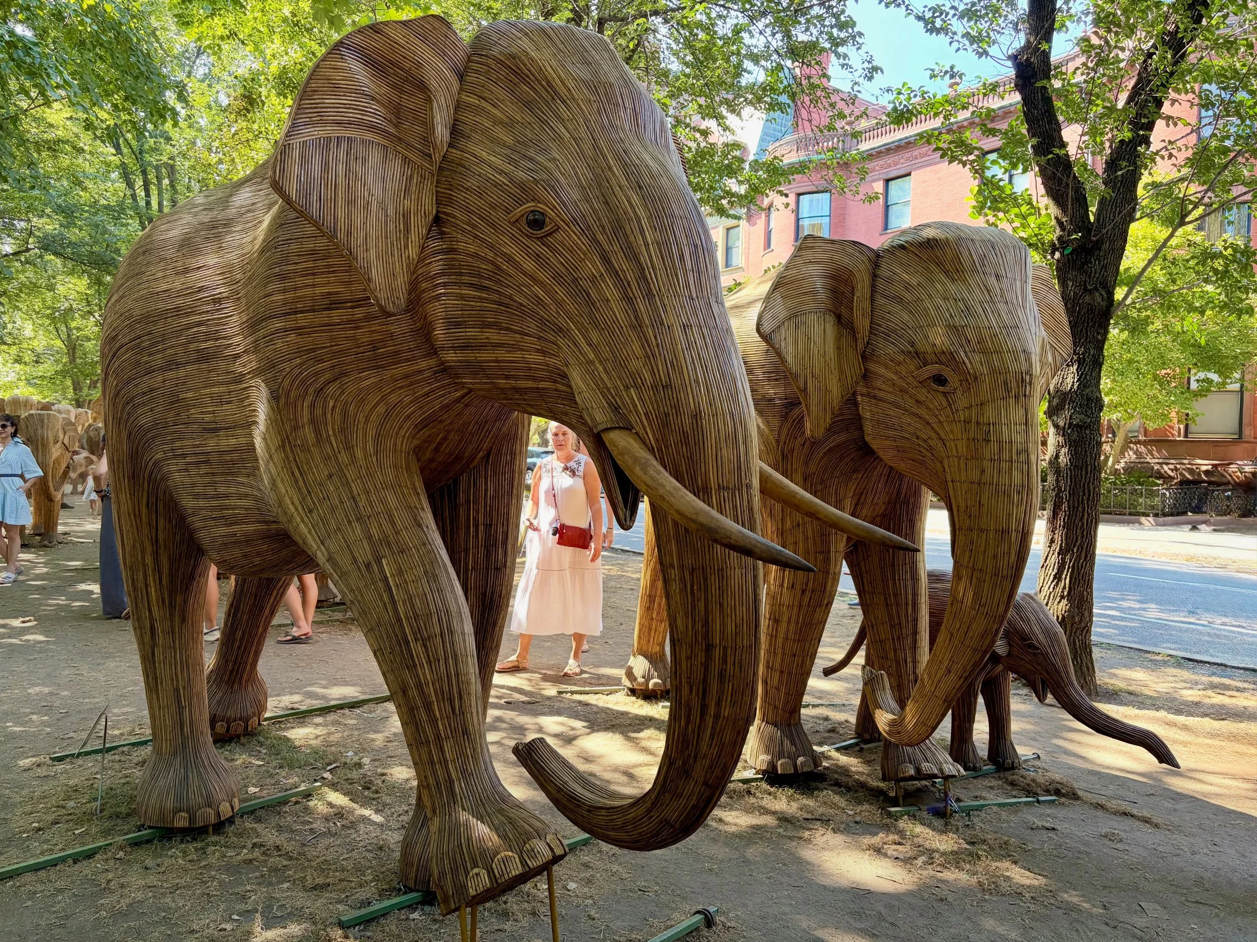 &ldquo;The Great Elephant Migration&rdquo; was created by indigenous artisans who live in the Nilgiri Hills of Southern India.  It is a collaboration between the artisans and cultural institutions and is traveling around to raise awareness and money 