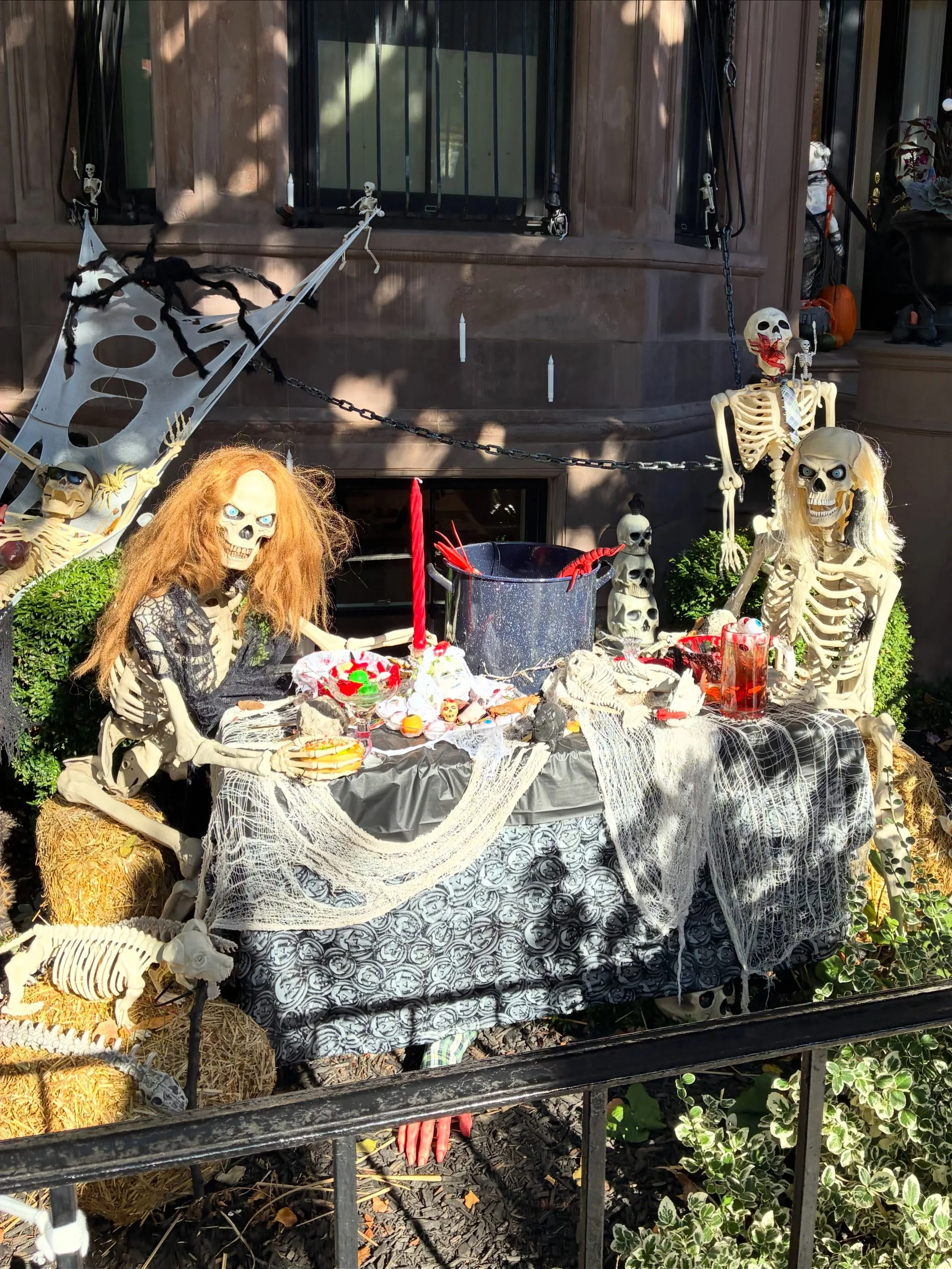 Halloween Creations! Part 4/5.  South End

One of the things that I really enjoyed about all the decorations is how people take things that you can buy in a store and make it unique, or part of something only their house has. 

Many thanks to everyon