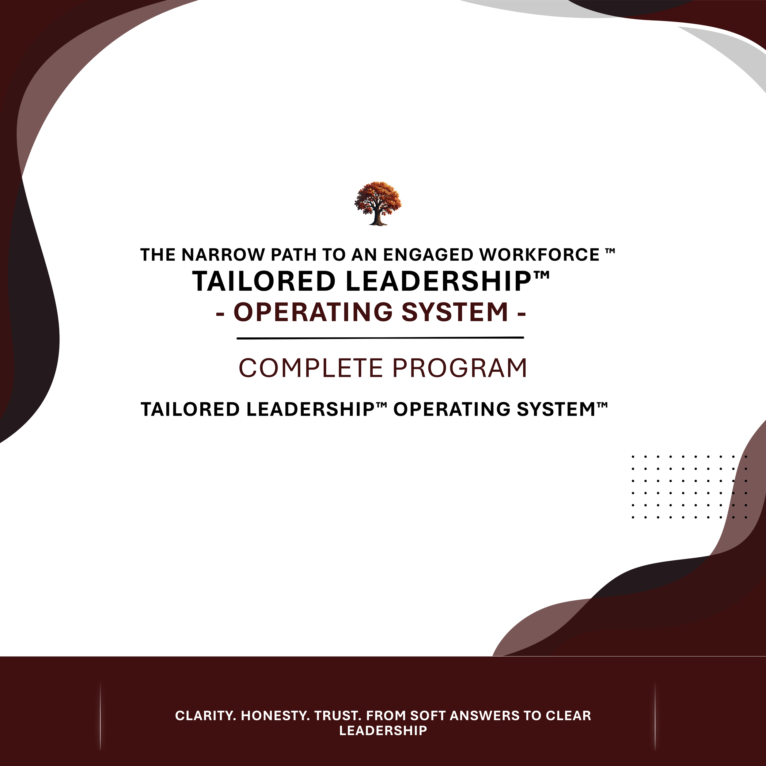 The Tailored Leadership™ Operating System