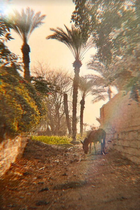 Screenshot 2026-03-07 164133.png