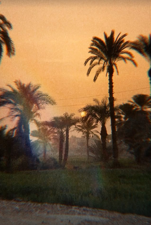 Screenshot 2026-03-07 164120.png