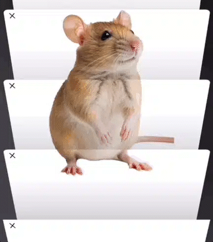original_133e64f2d3b7ad86be9a913fdea56398.gif