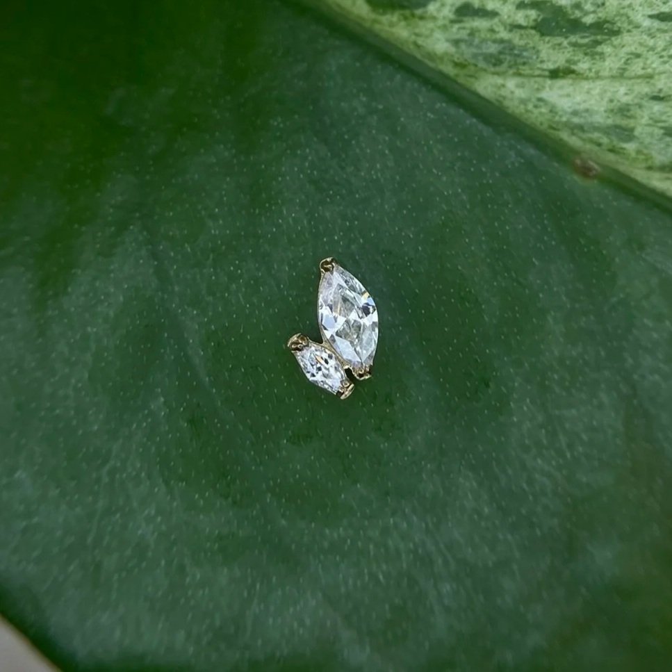 2 Halves Of A Whole Leaf