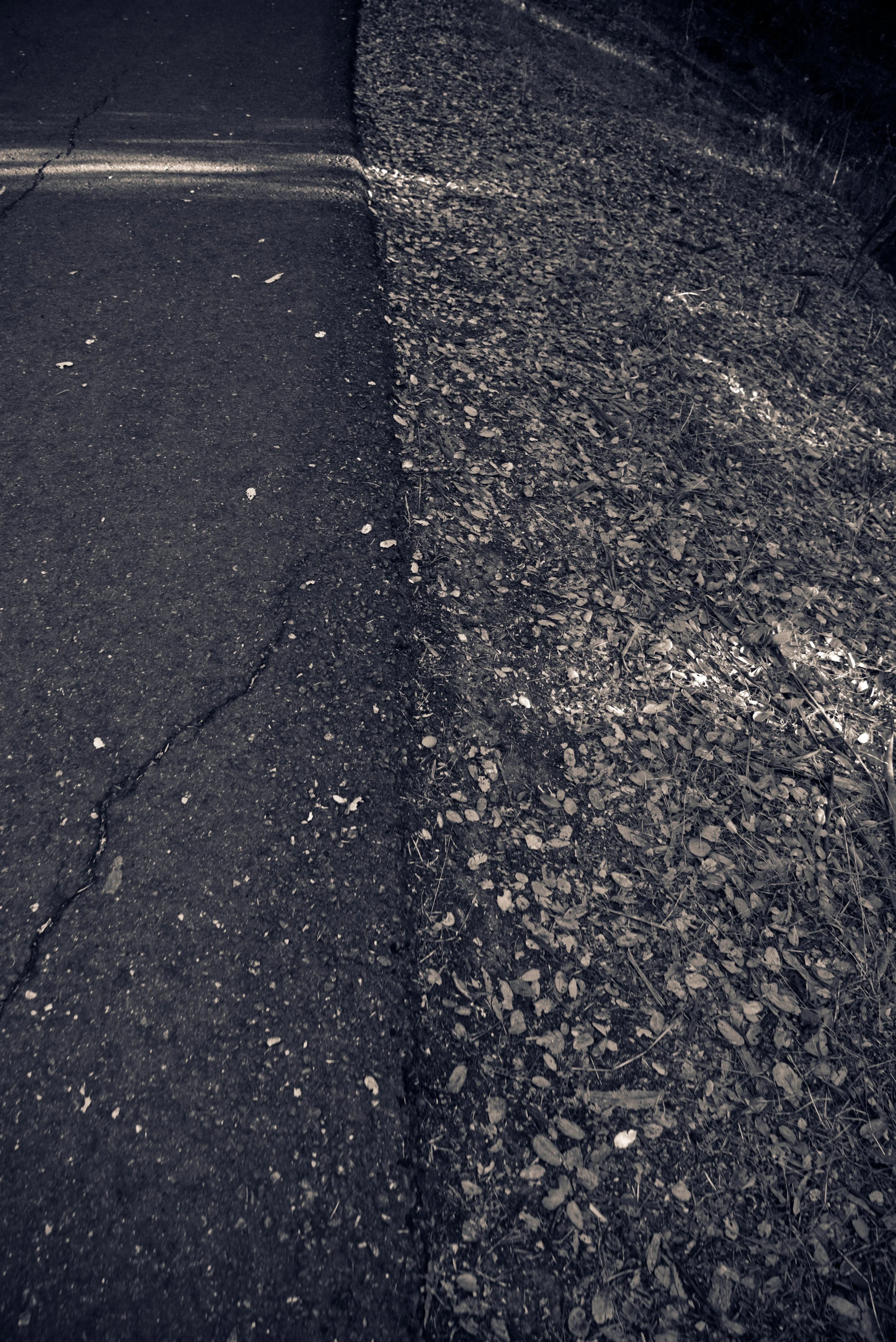 DSCF3012.jpg