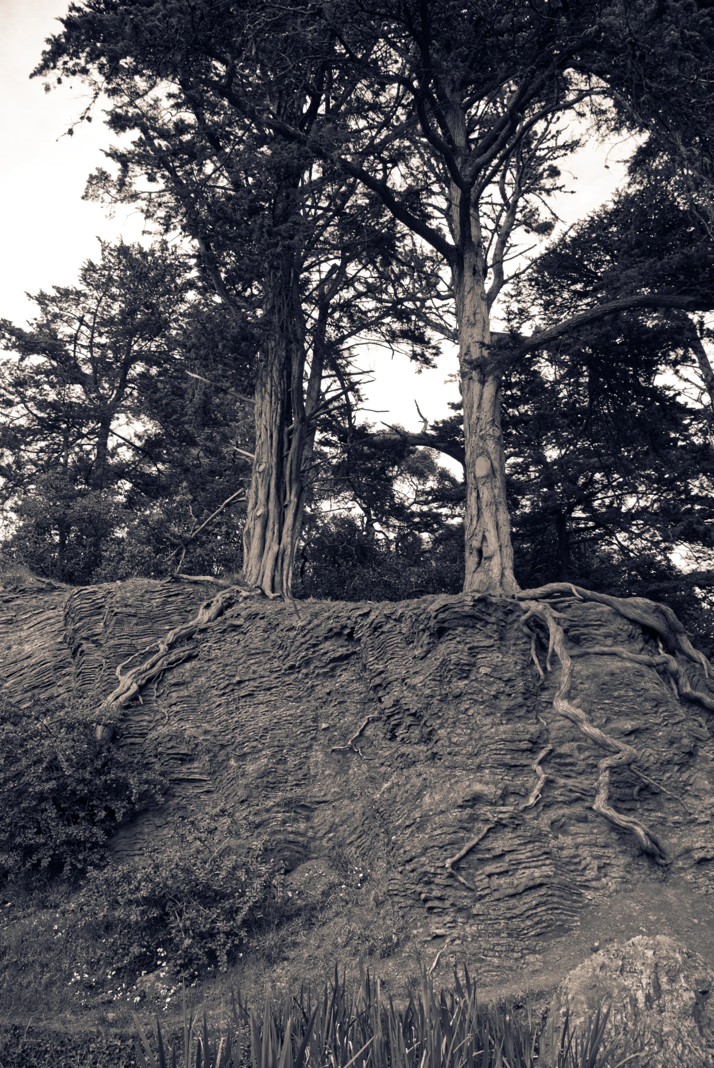 DSCF3902.jpg