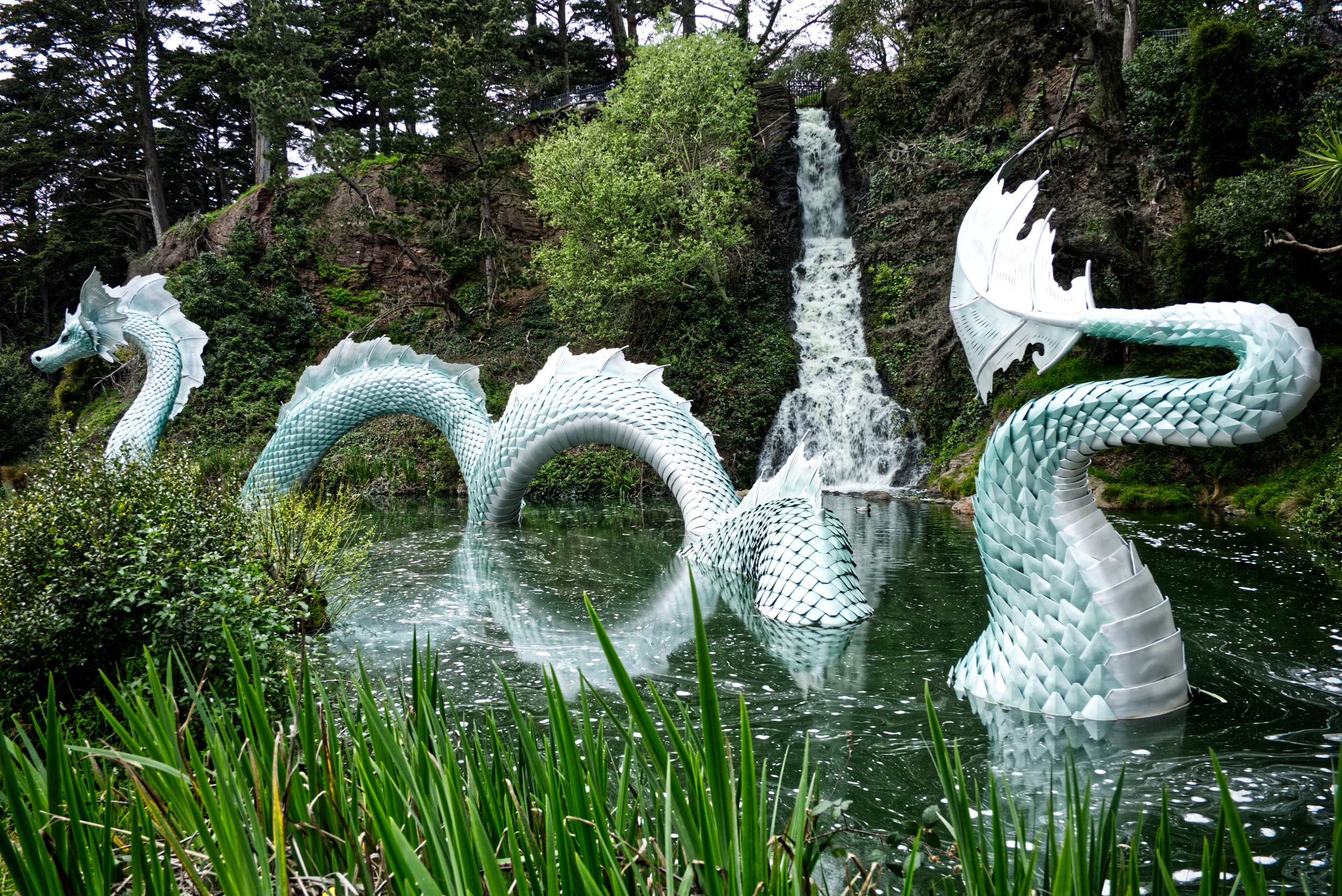 DSCF3929.jpg