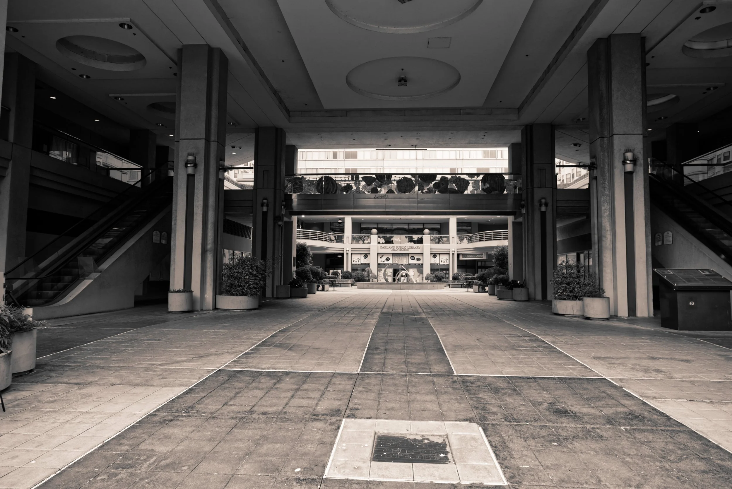 DSCF2717.jpg