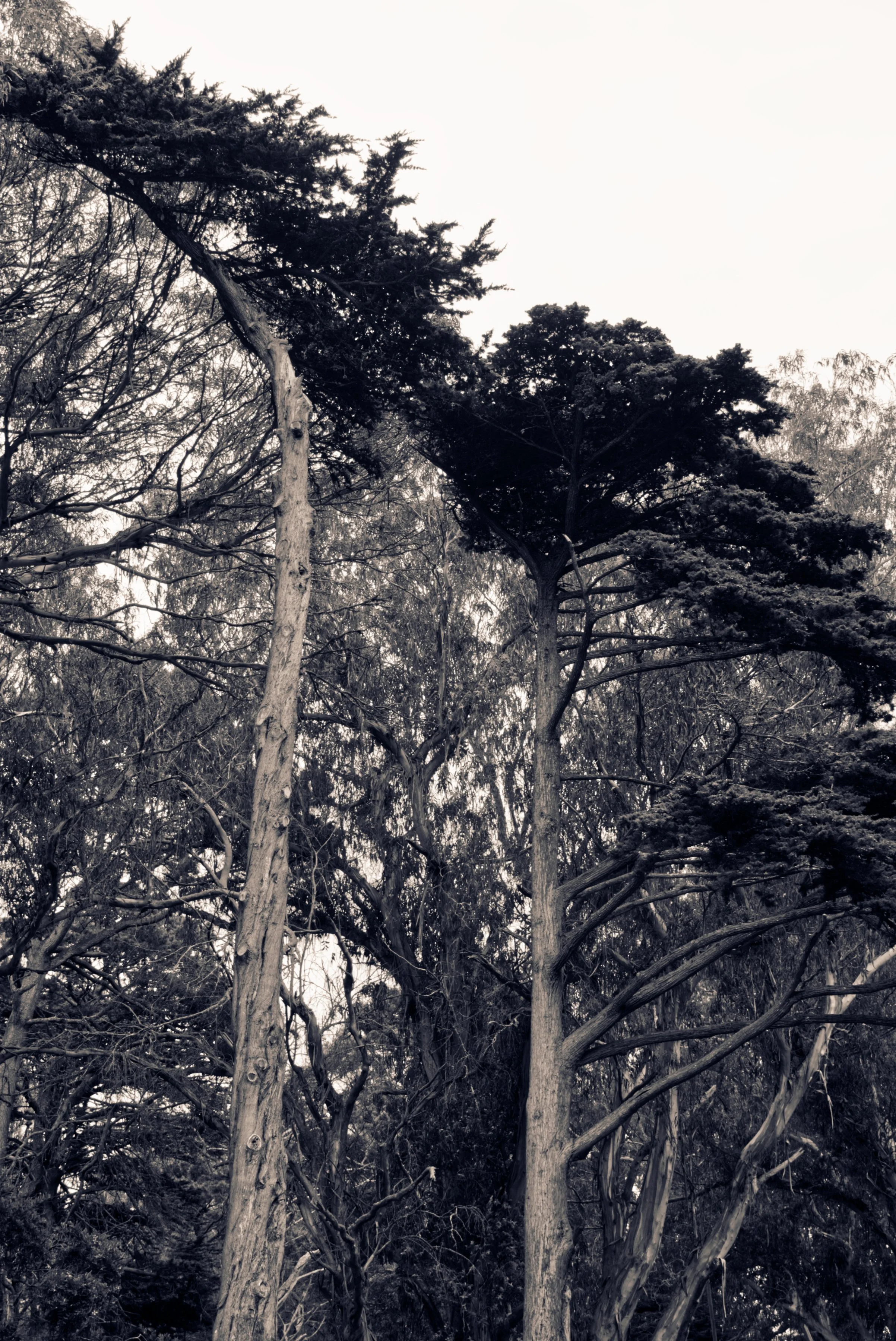 DSCF3877.jpg