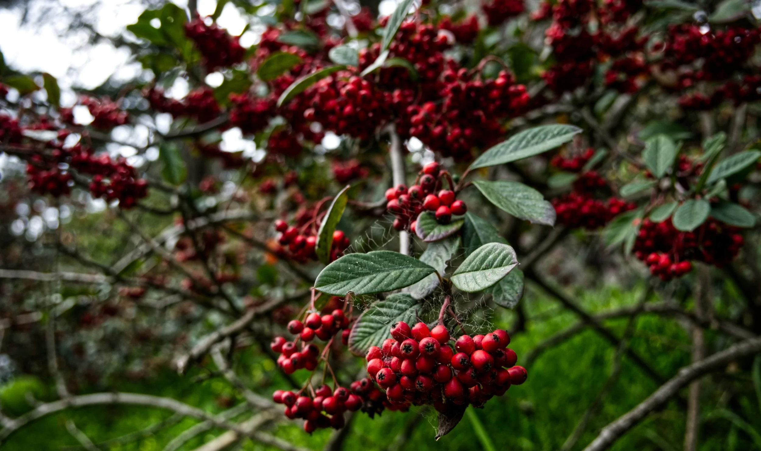 DSCF3926.jpg