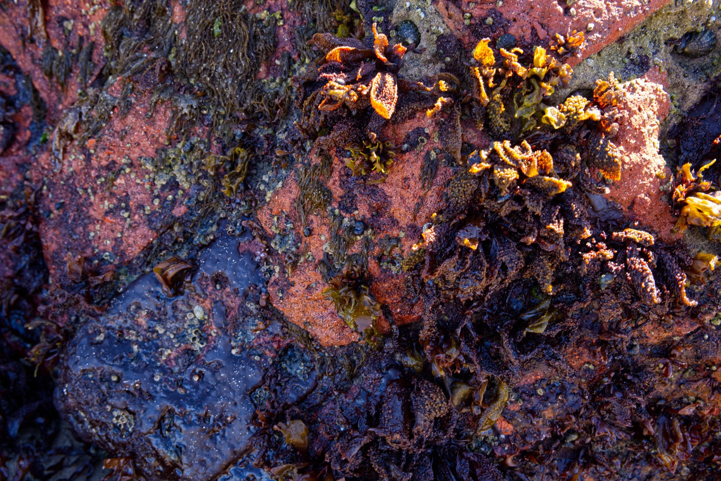 DSCF2972.jpg