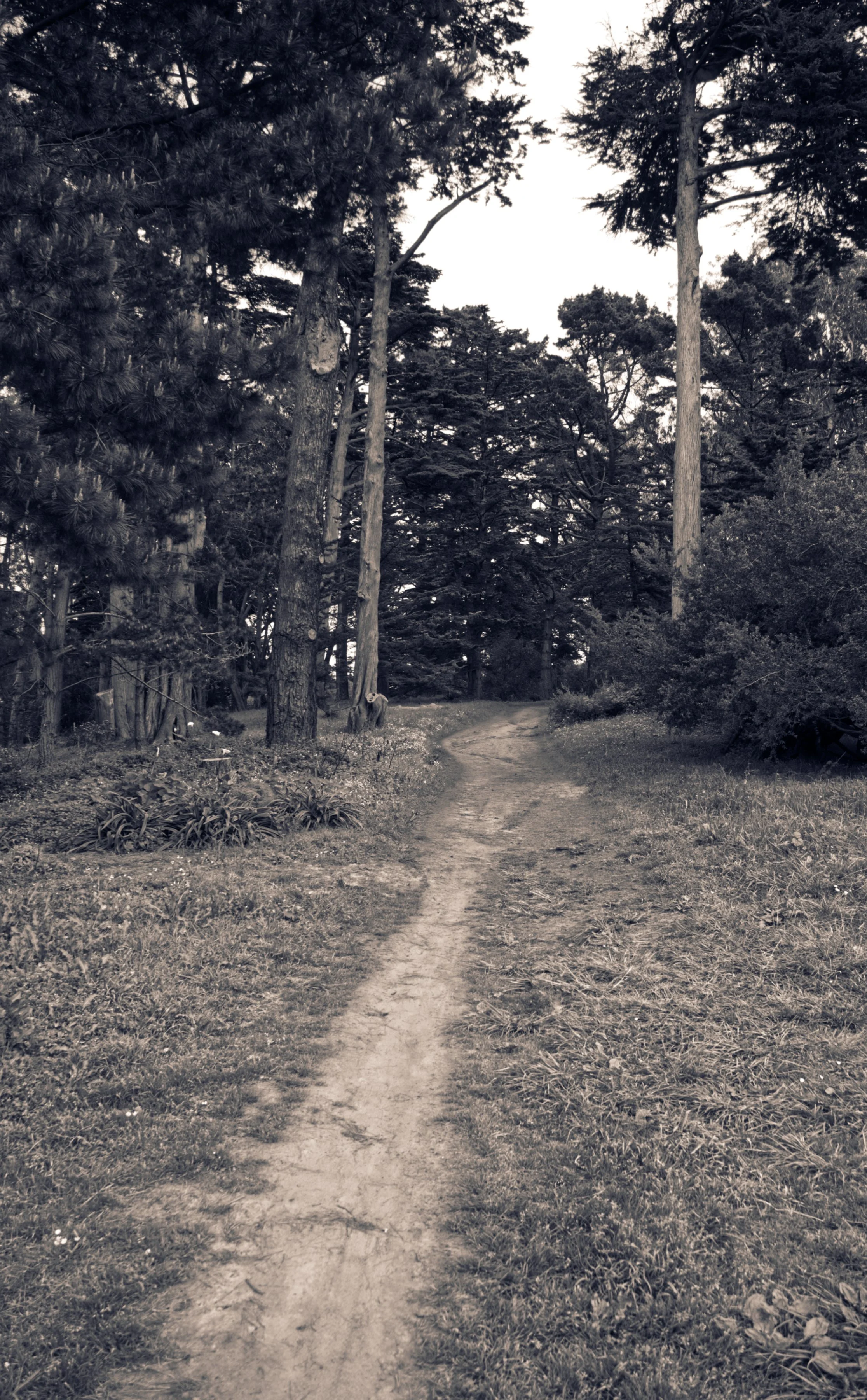 DSCF3920.jpg
