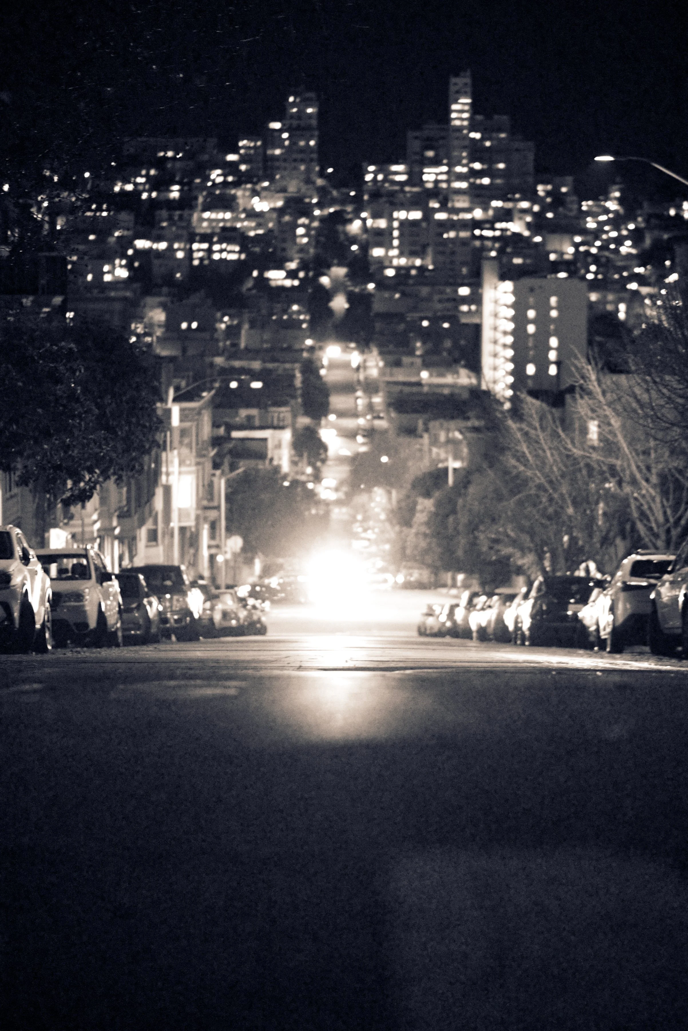 DSCF3519.jpg