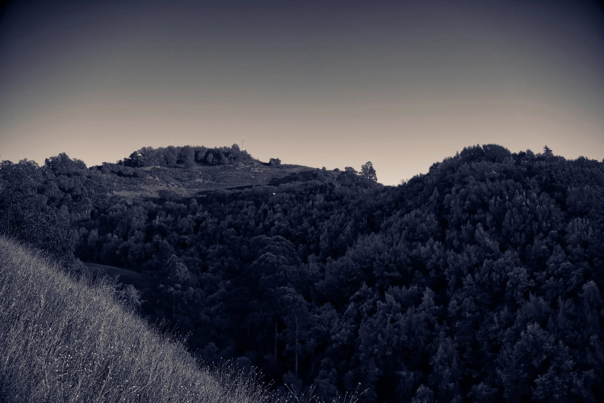 DSCF3016.jpg