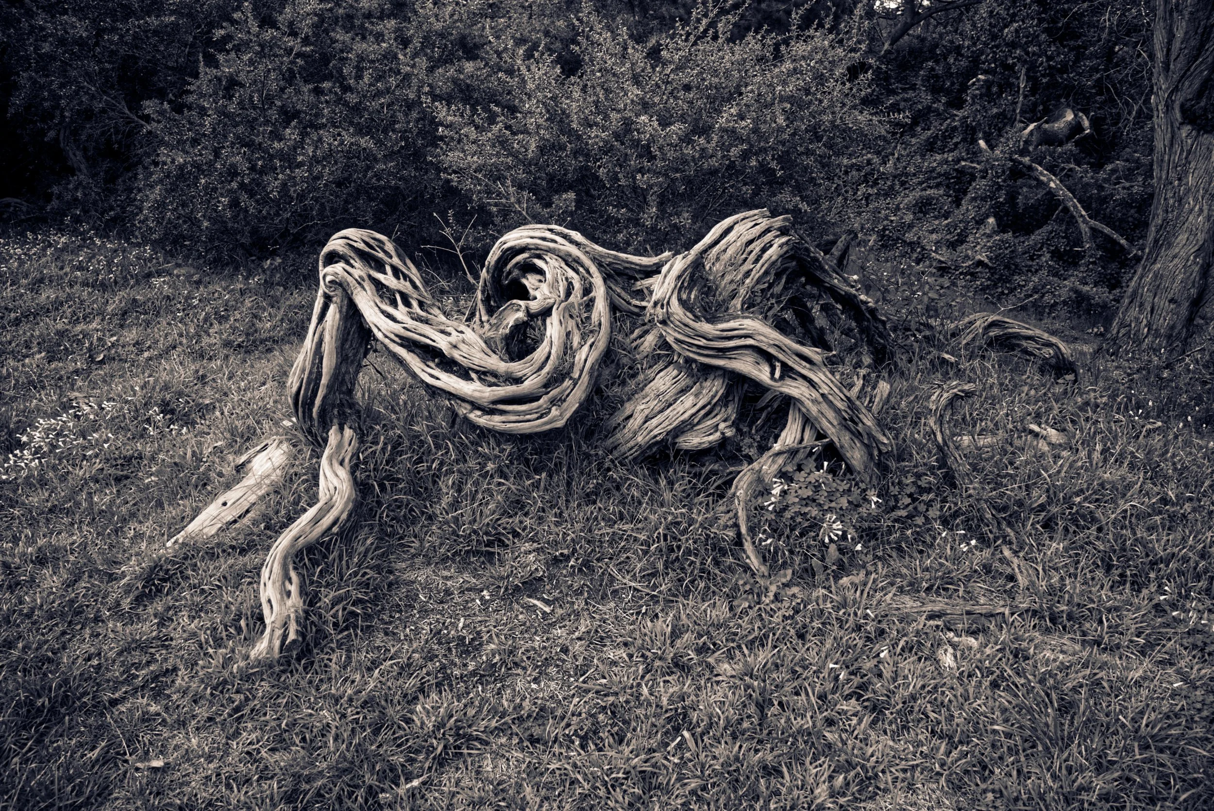 DSCF3921.jpg