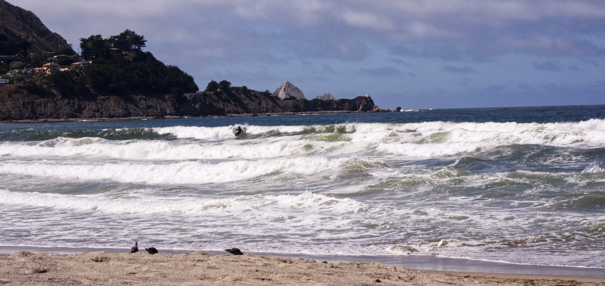 DSCF5762.jpg