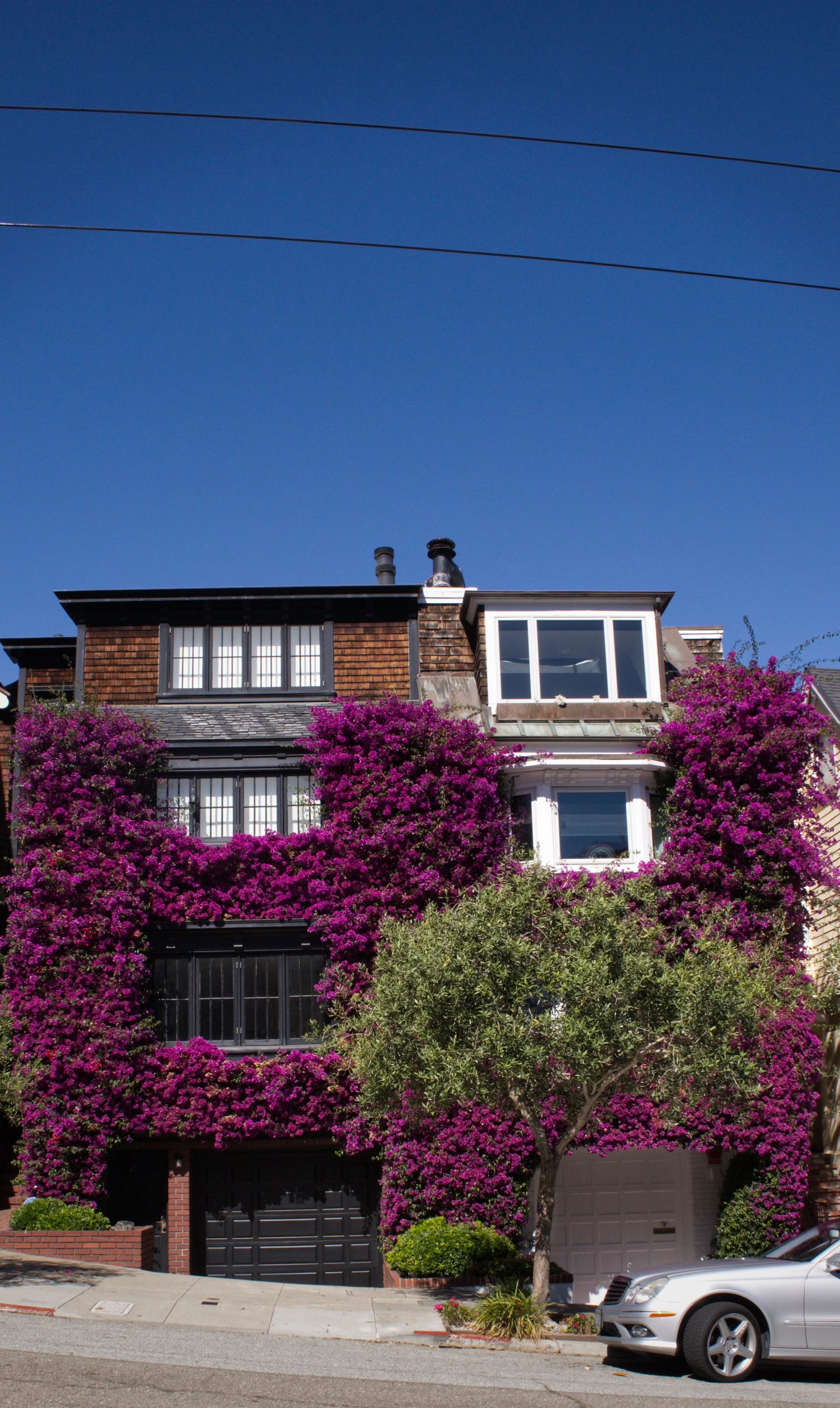 DSCF2891.jpg