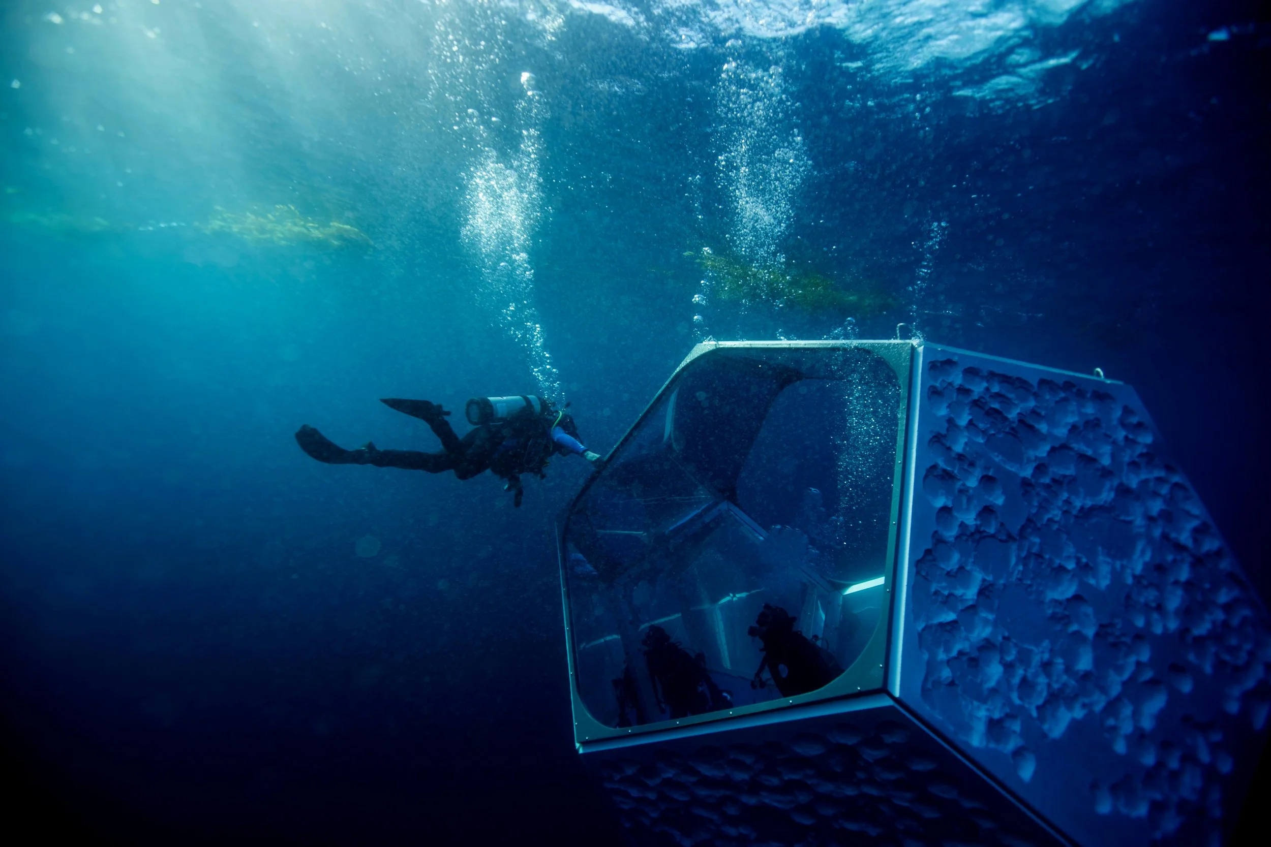20161102_Doug-Aitken-Underwater-Pavilions-Catalina_Fallon_0863.jpg
