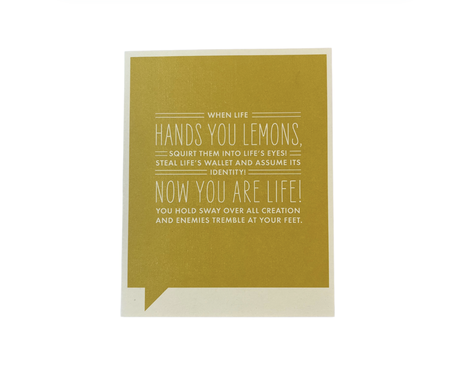 Encouragement Greeting Card/ Take Charge "When Life Hands You Lemons" Frank & Funny