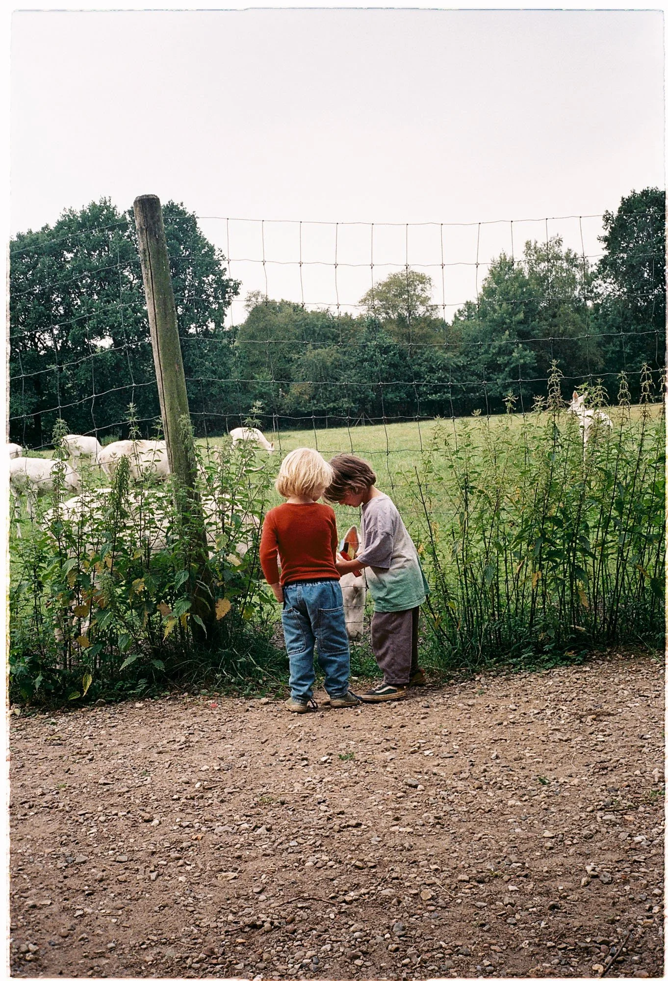 Wildpark_©SallyElenaMilota_12.jpg