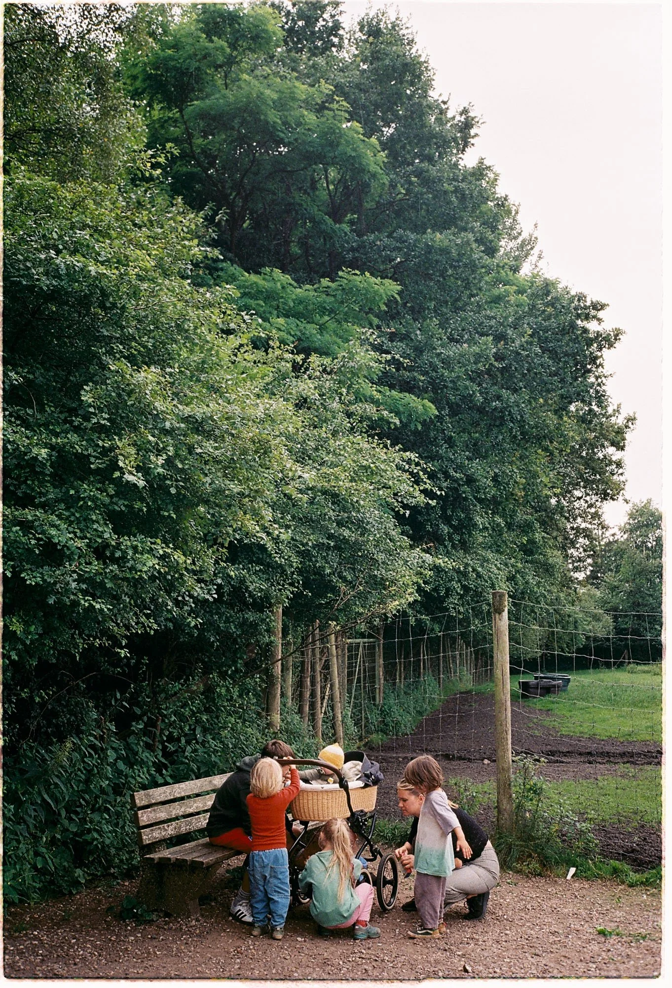 Wildpark_©SallyElenaMilota_11.jpg