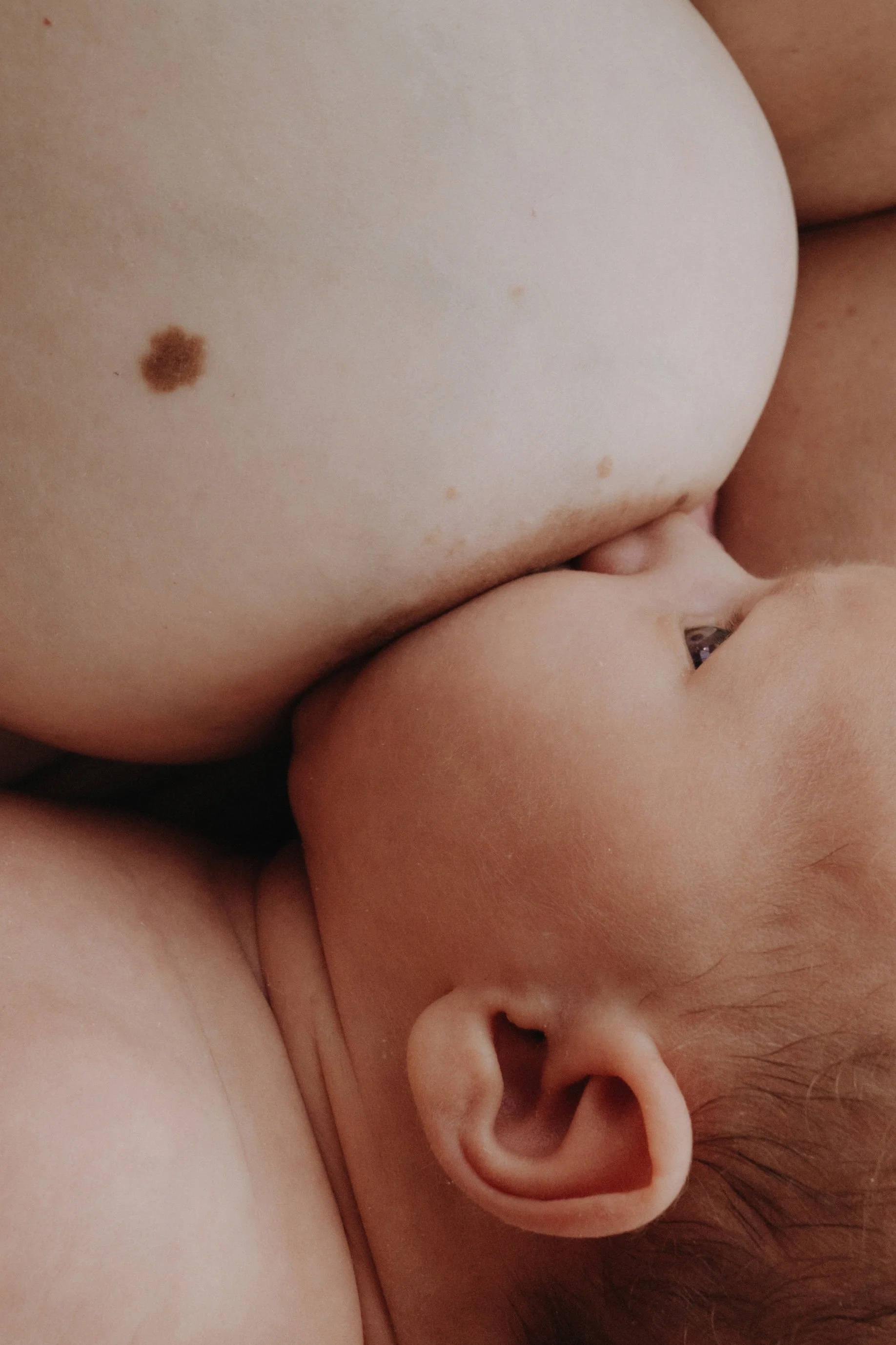 Motherhood_©SallyElenaMilota_63.jpg