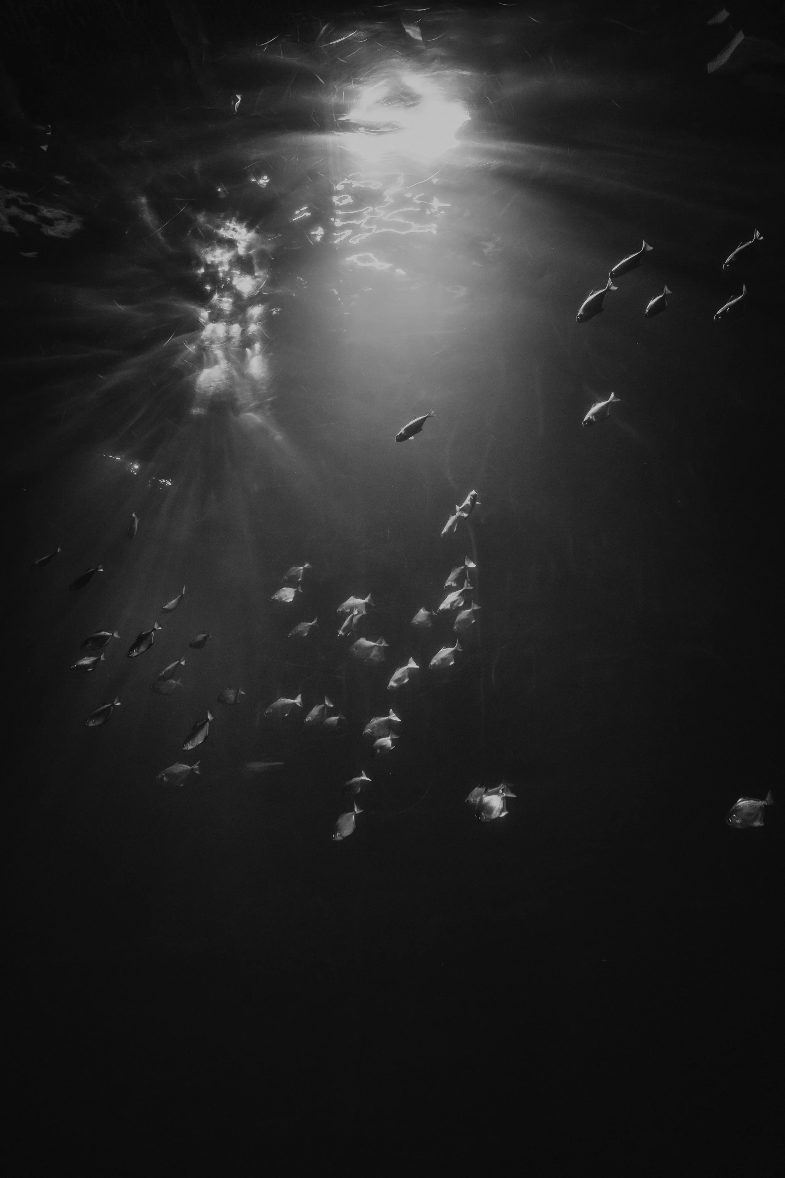 DSCF2980.jpg