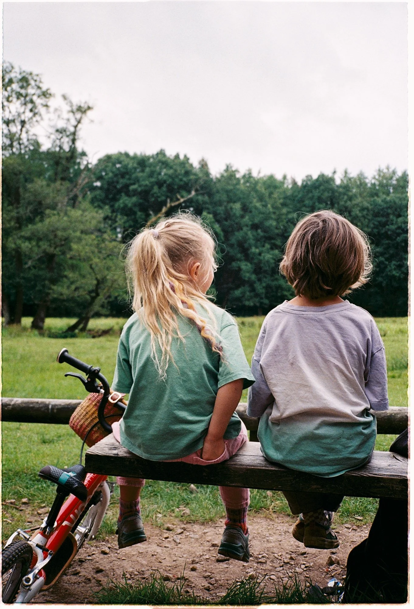 Wildpark_©SallyElenaMilota_7.jpg