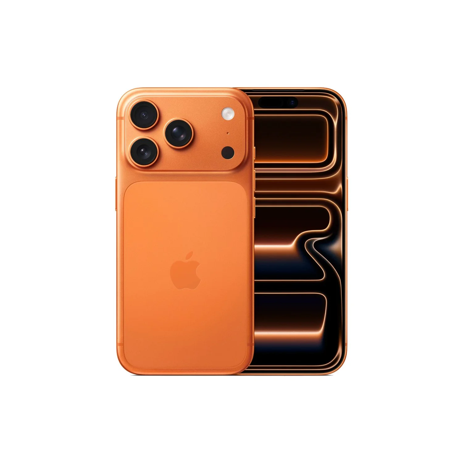download (3).jpg (Copy)