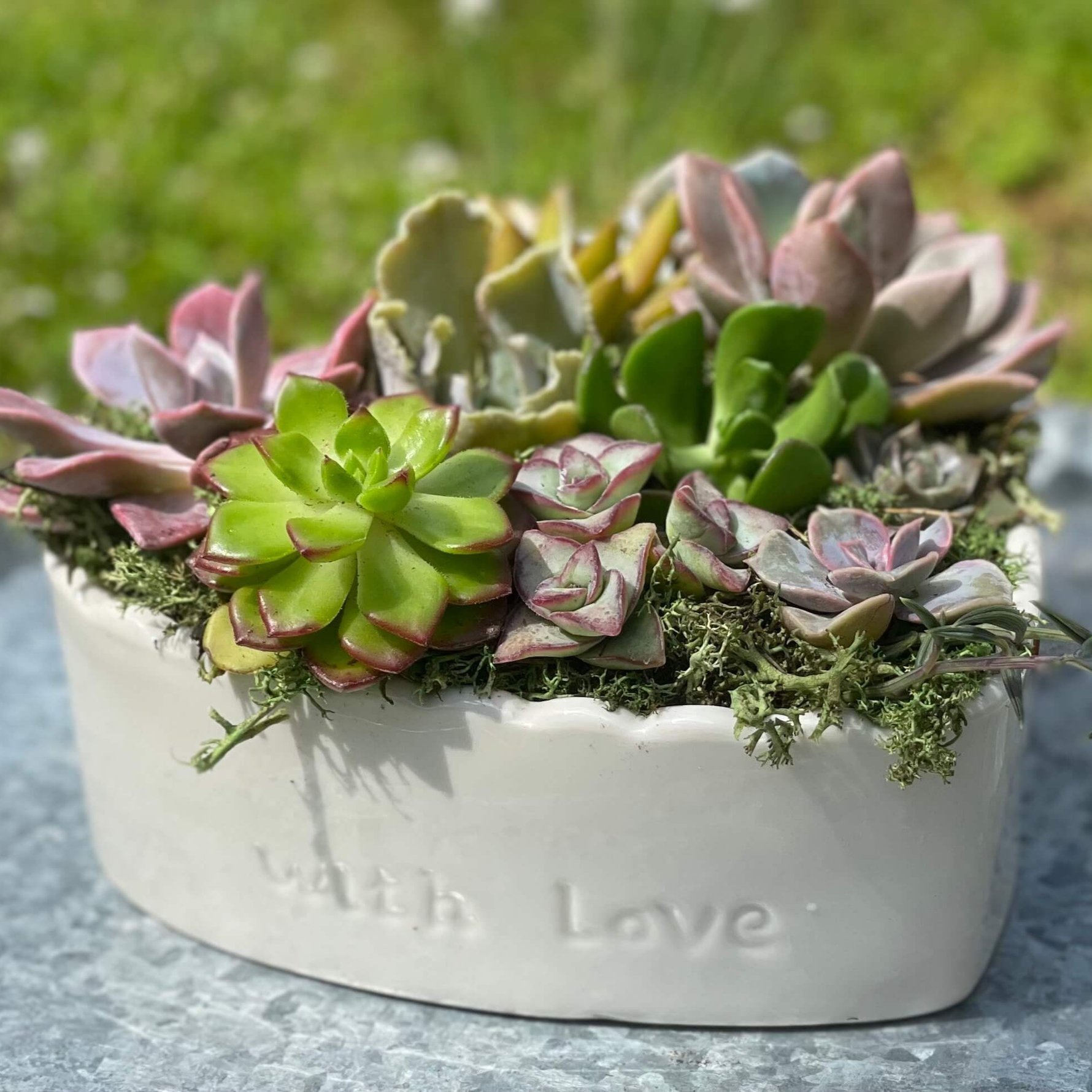 The+Succulent+Studio+%7C+Arrangements+%2B+Workshops+in+Olympia%2C+WA+%7C+HeartWithLove_pic3.jpg