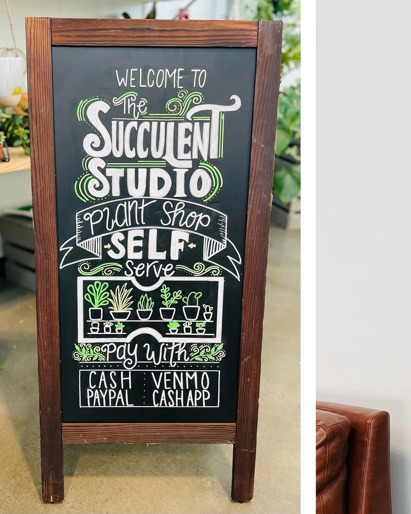 New chalkboard signs for the plant displays @tumwatercraftdistrict made by the talented @simmiesscribbles 🤩