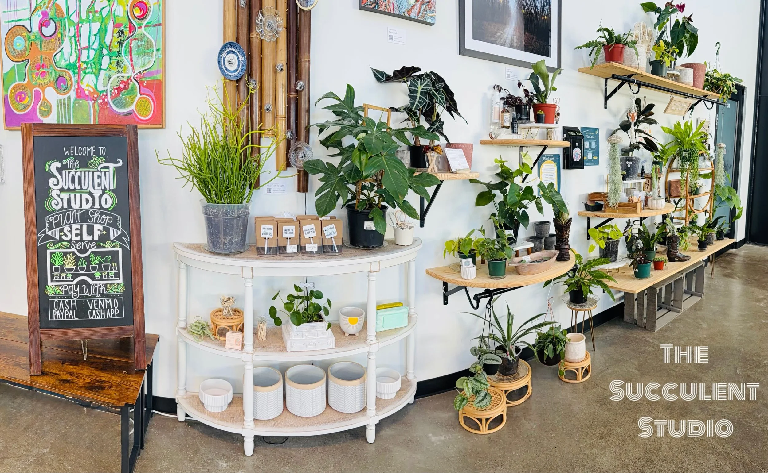 ✨Grab &amp; Gift options available at both TSS plant stands inside the @tumwatercraftdistrict building. We&rsquo;ll do the planting, you take the credit for a unique, meaningful gift. 
.
Center stand across from @tumwater_tacoco and South stand acros