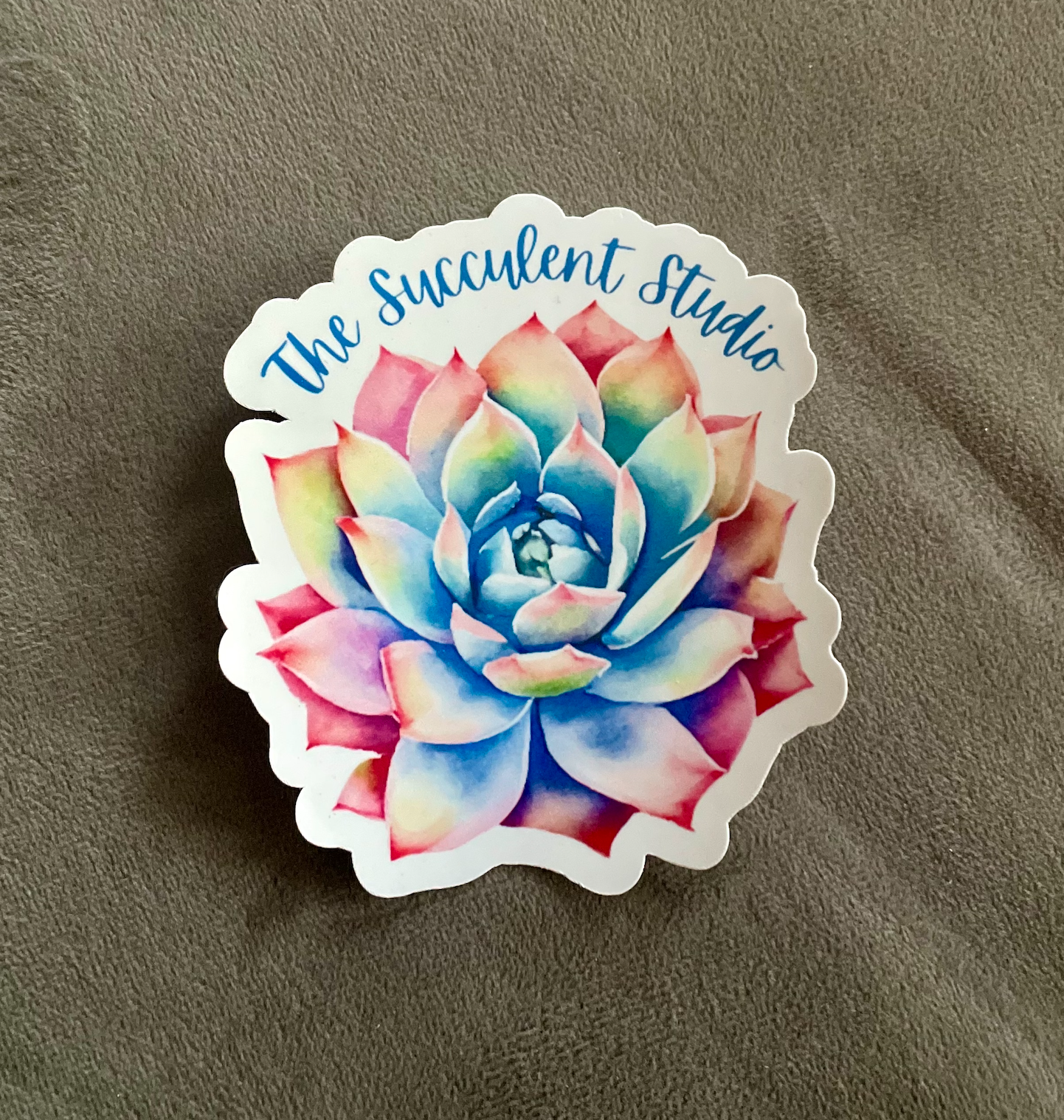 'The Succulent Studio' Sticker