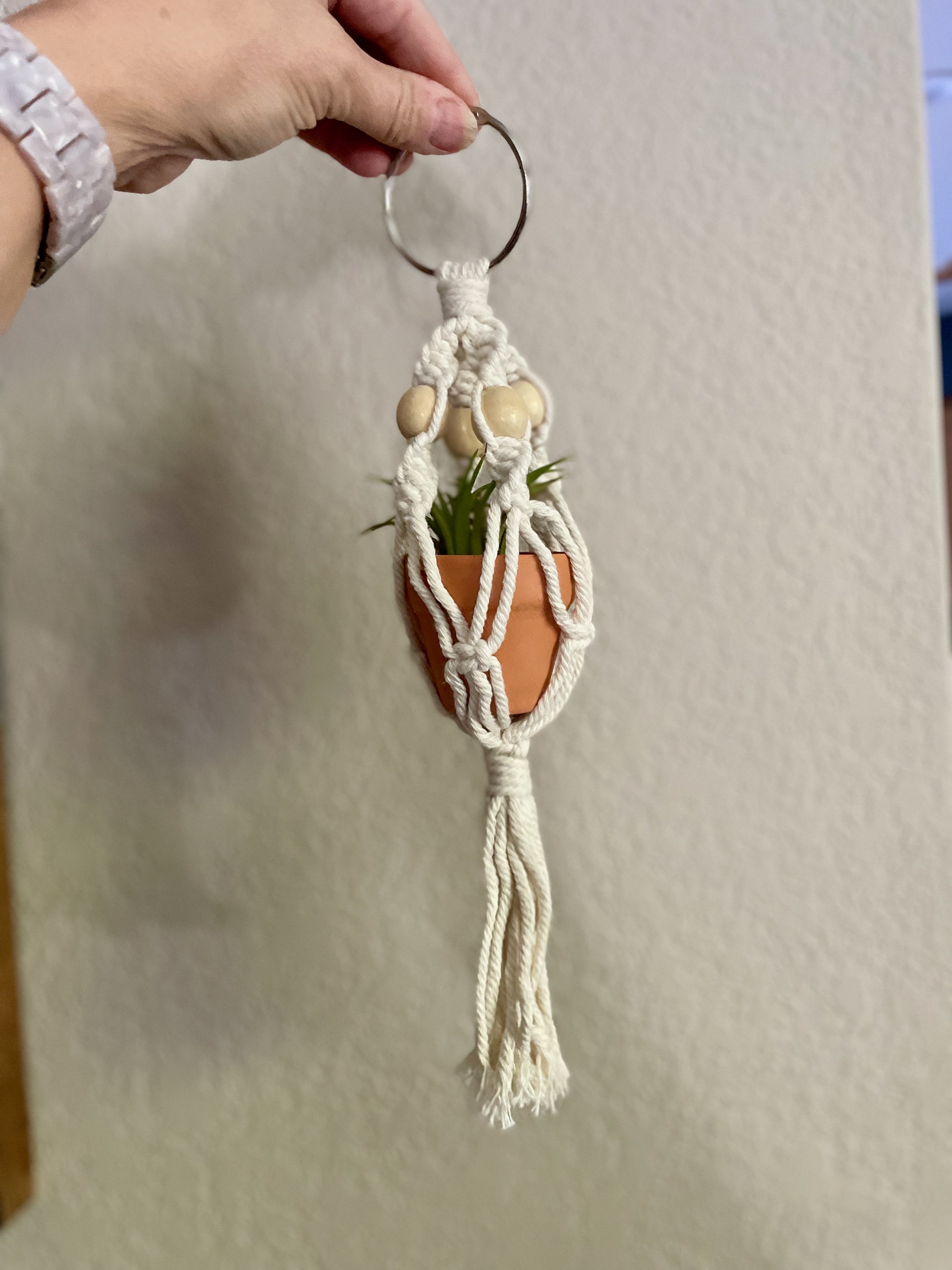 Living air plant w/macrame hanger
