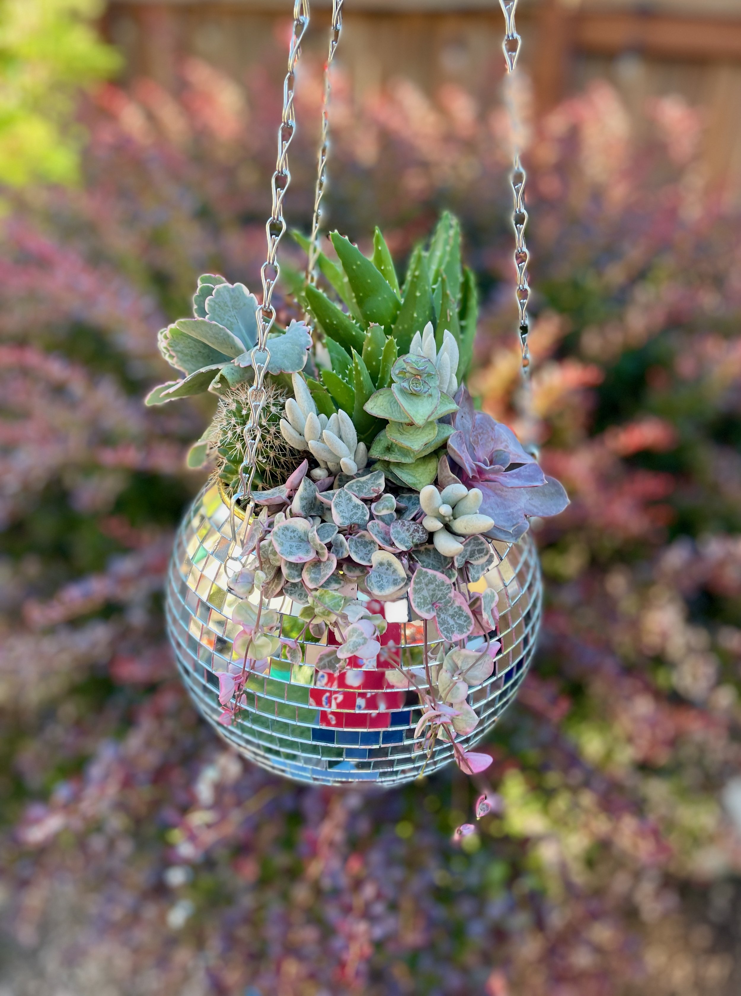 6%22DiscoBall _Product1 .jpeg