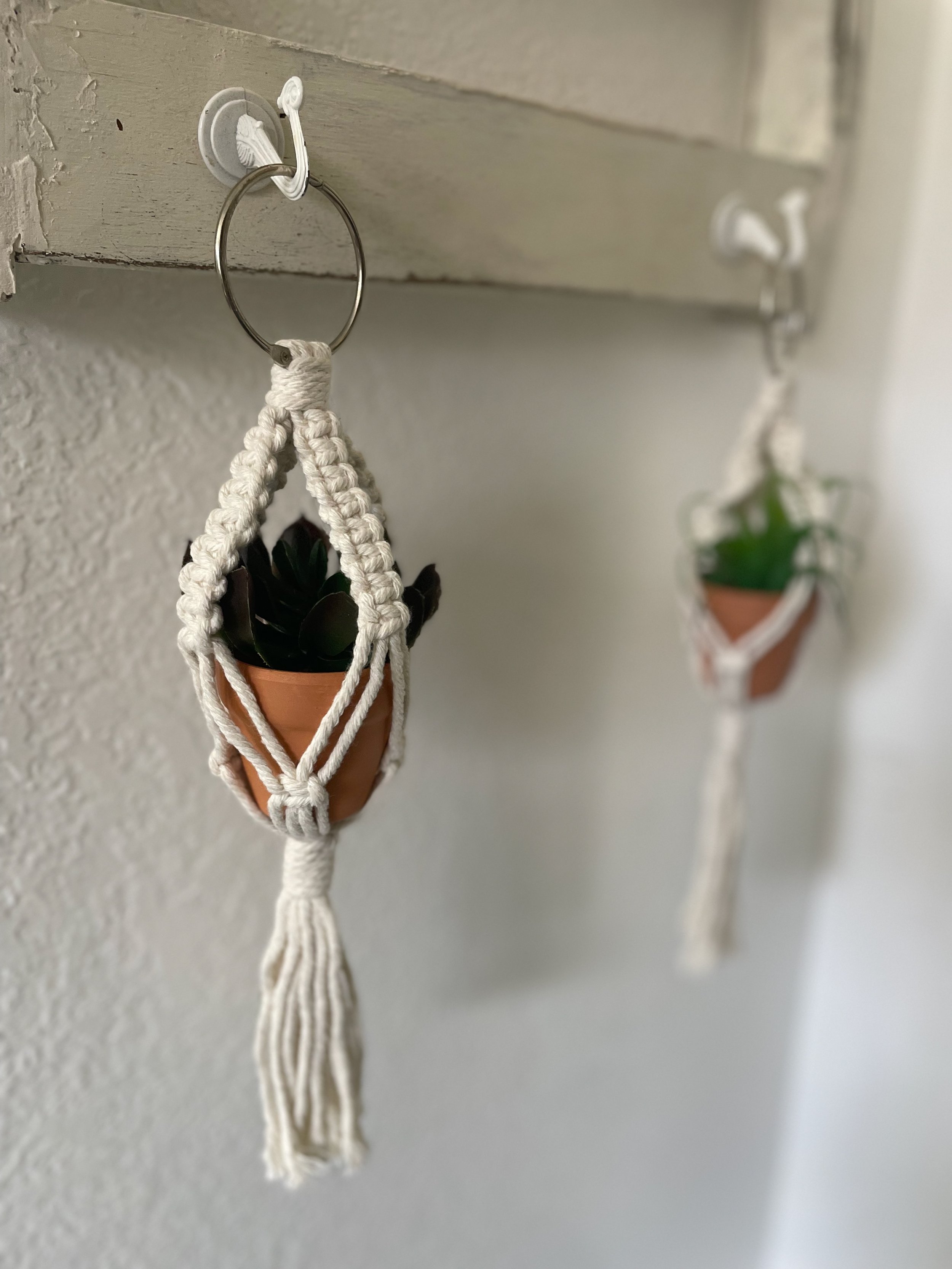 Faux Air Plant w/macrame holder