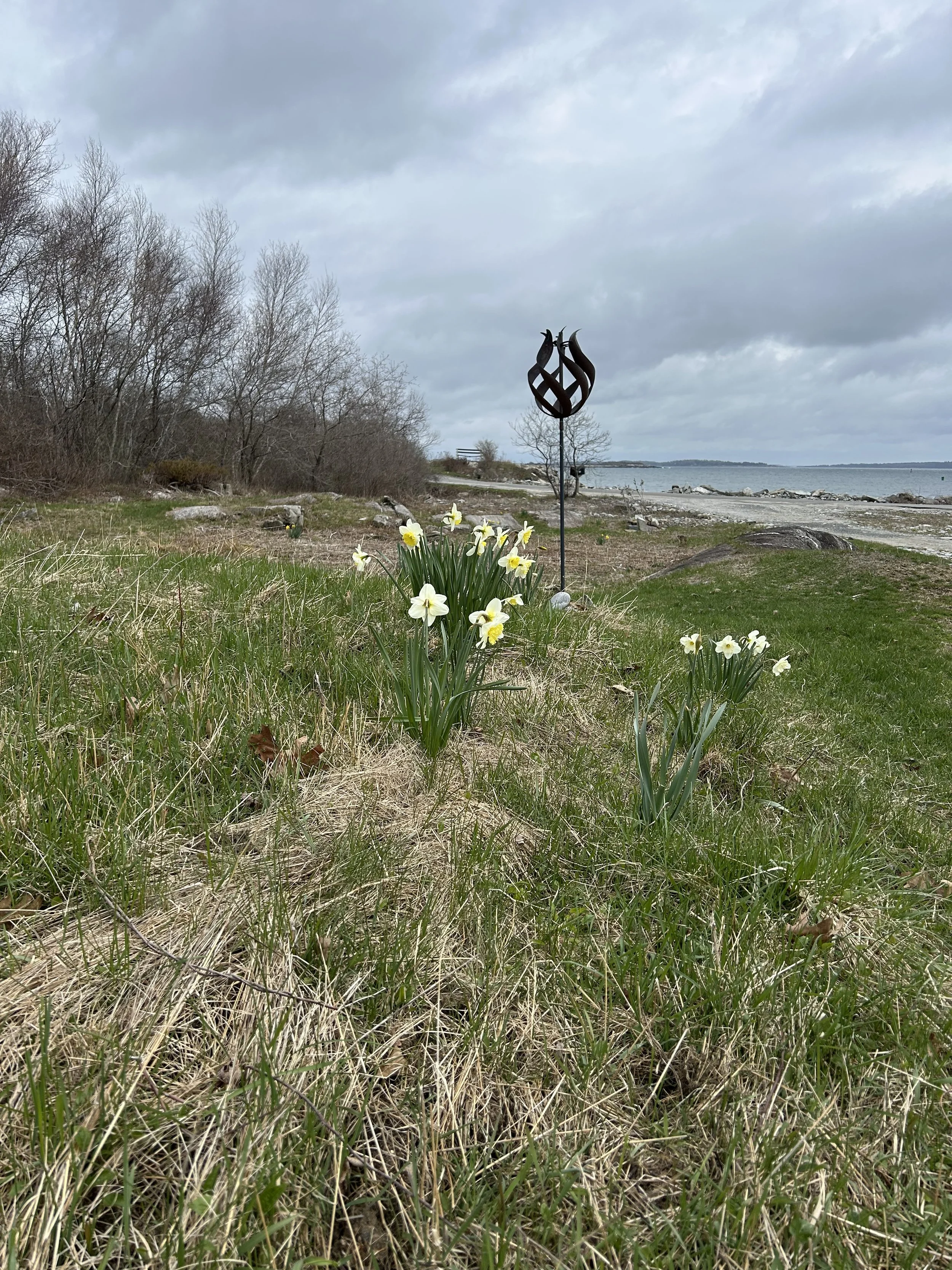 Peaks Island Spring