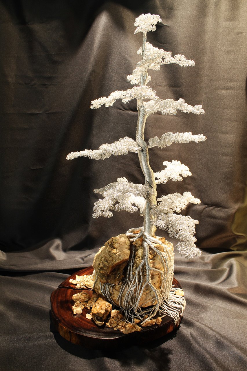 Tall Bonsai & Rock 2.jpeg
