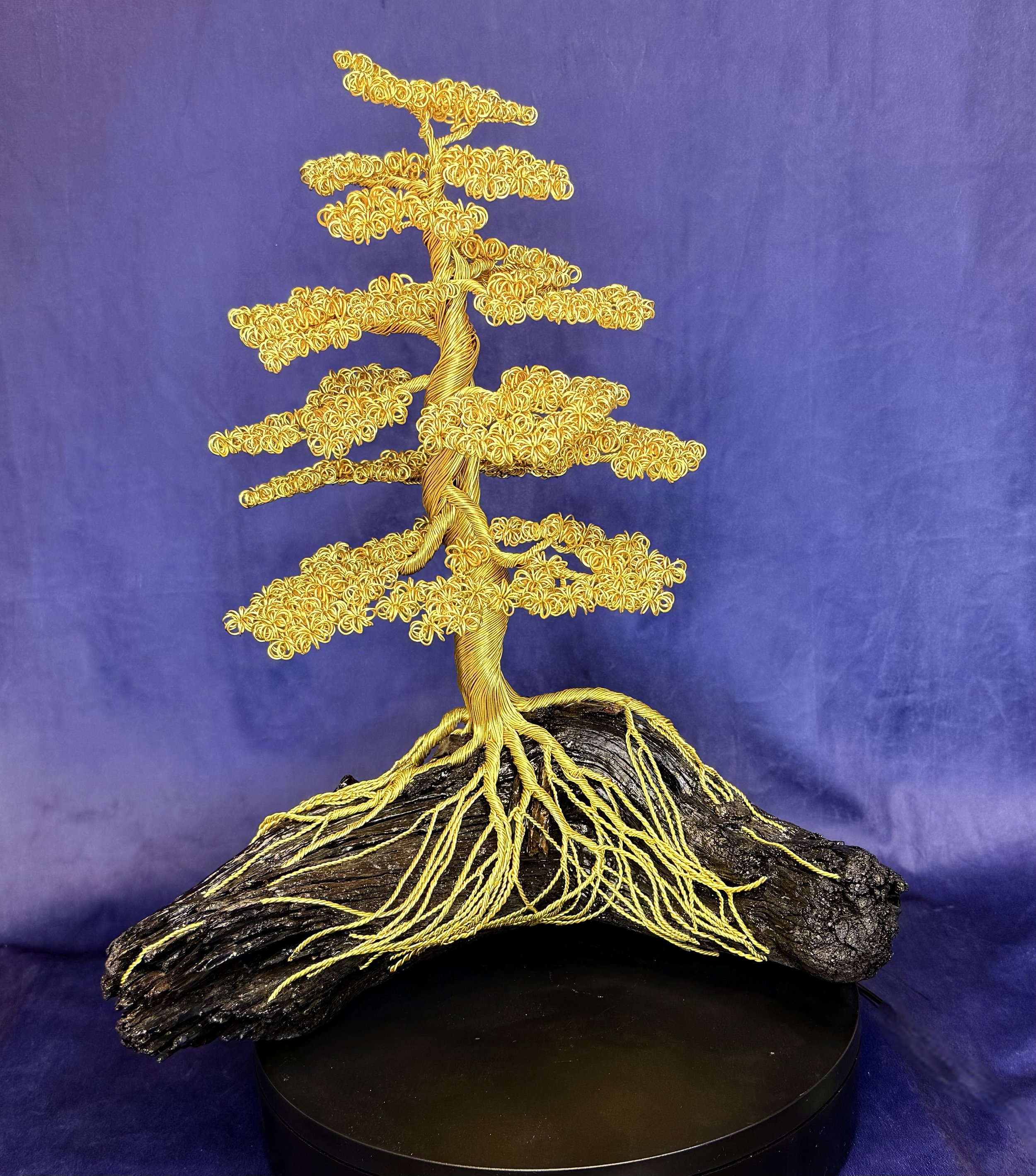 Wire Bonsai #17
