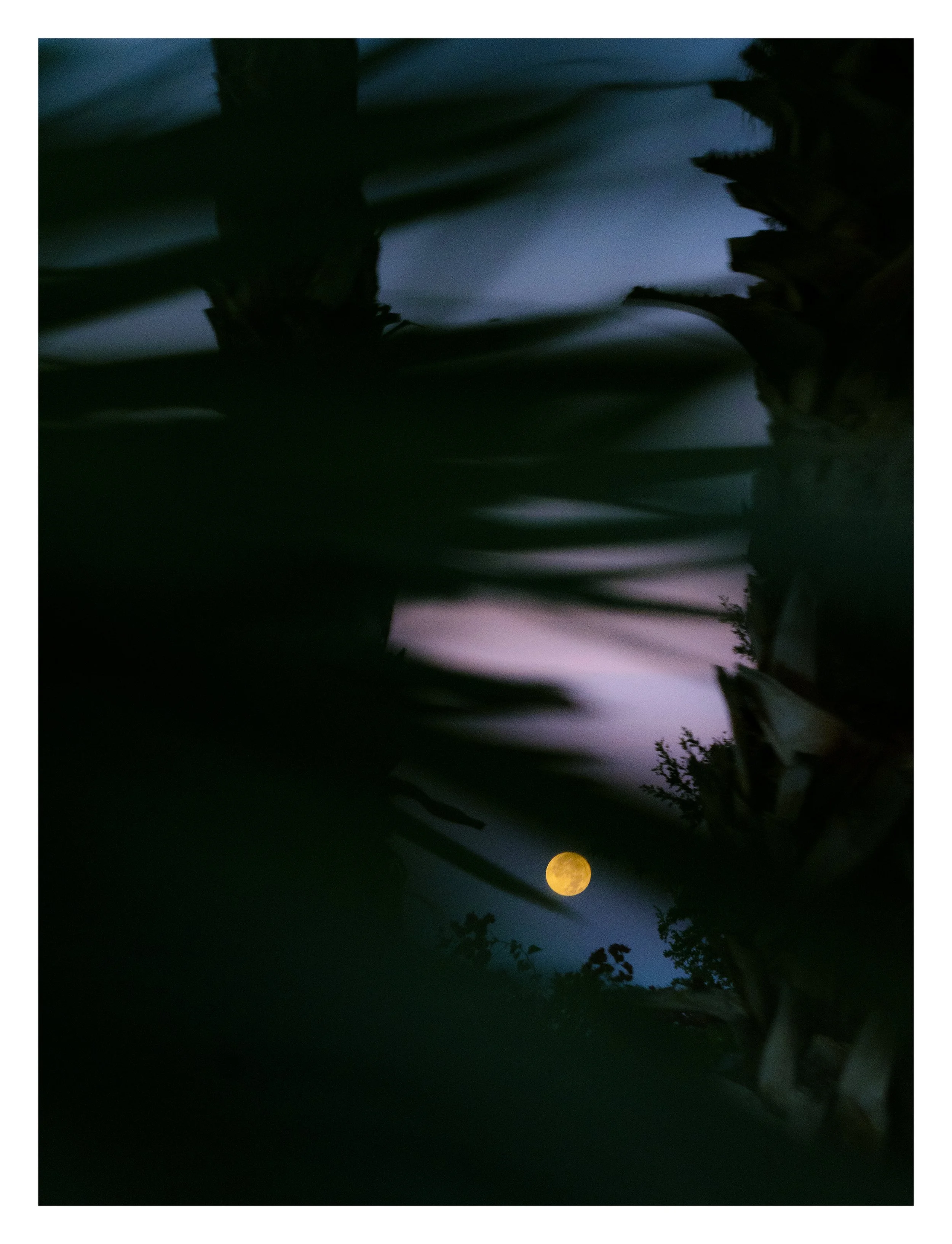 14-CTH05756-SE copy.jpg