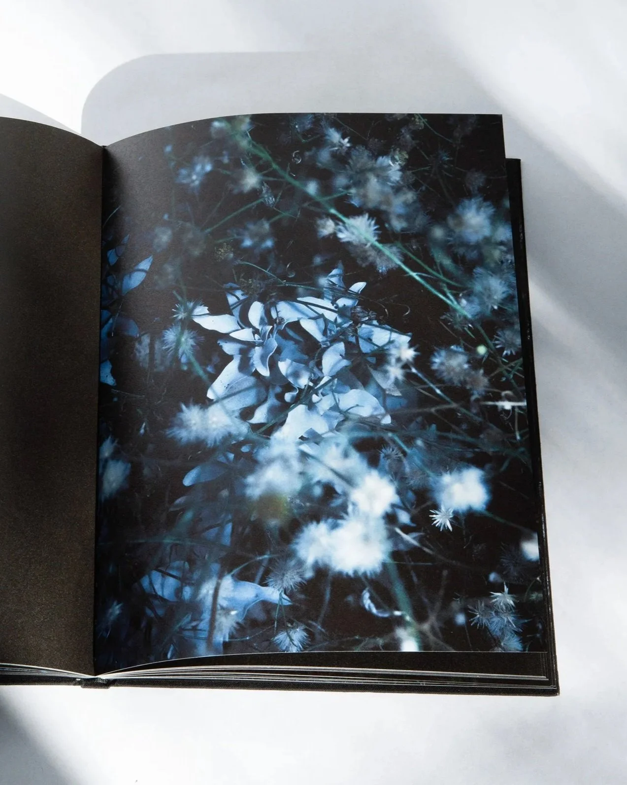 C.Pierce_Nachtmeer_Green+Flower-sm.jpg (Copy)