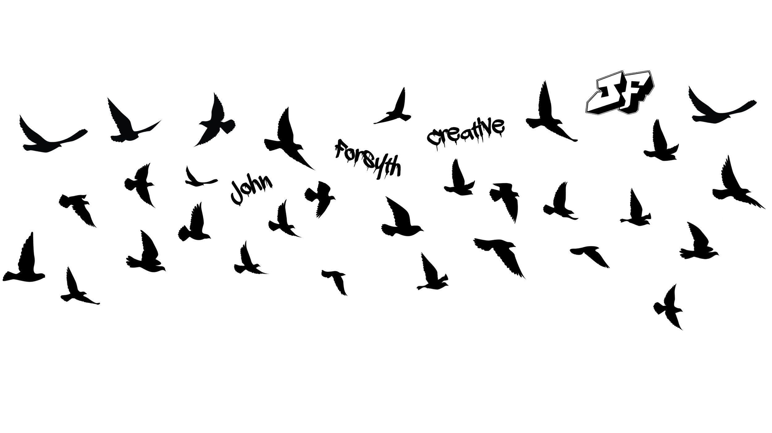 John Forsyth flying birds