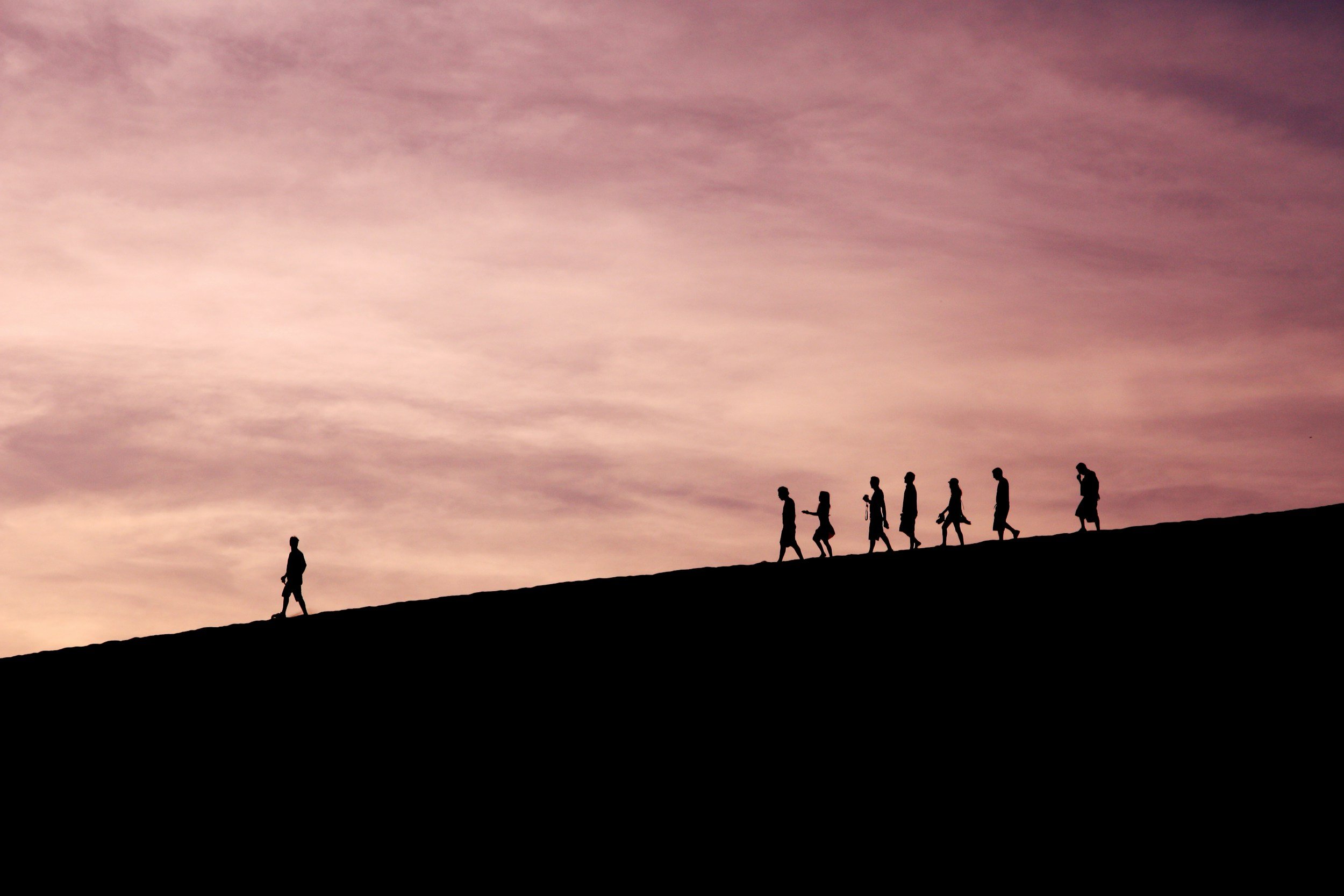 Silhouettes of people walking up a hill at sunset or sunrise with a pink and purple sky.