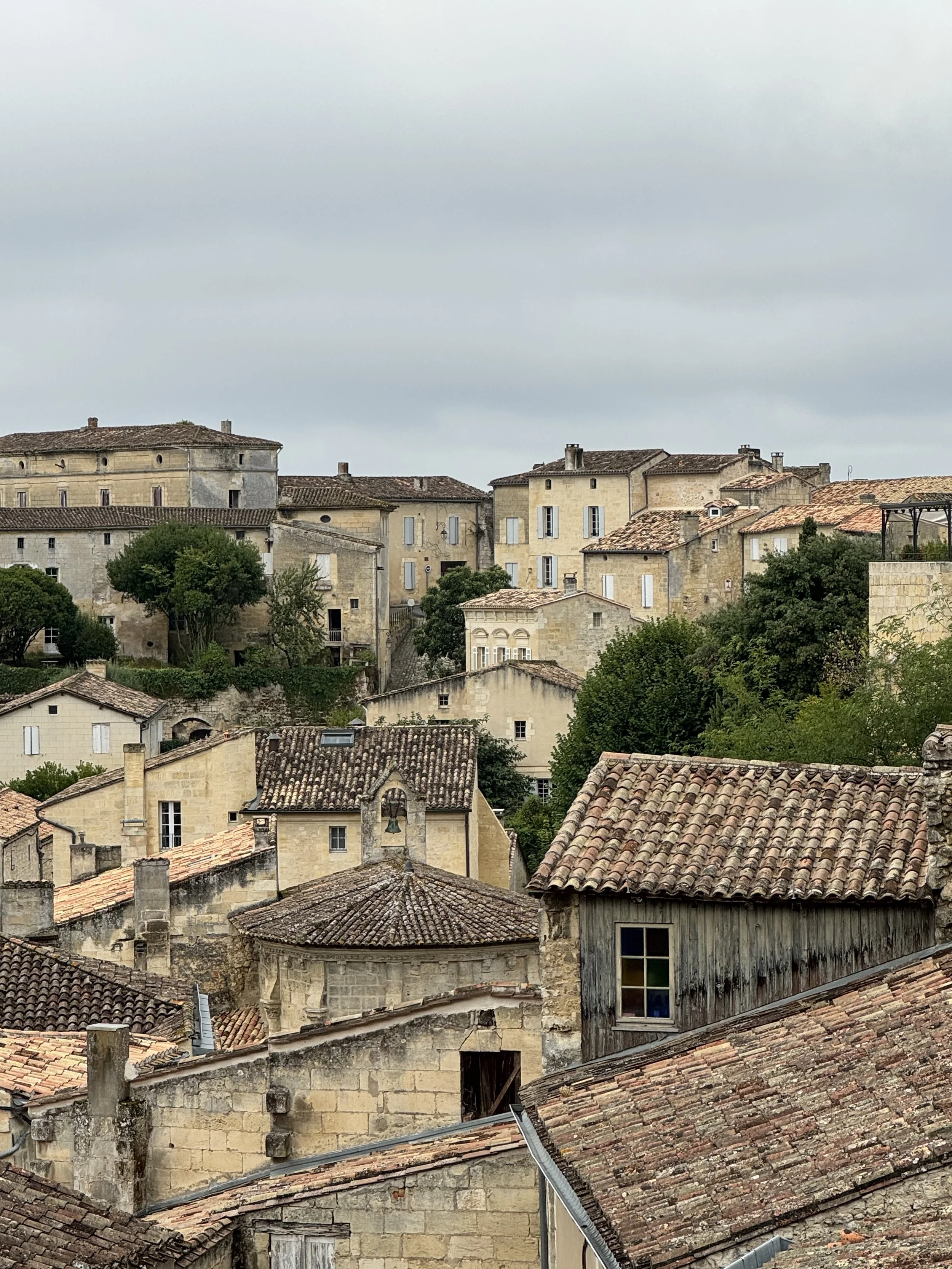 St. Emilion rooftops.jpg